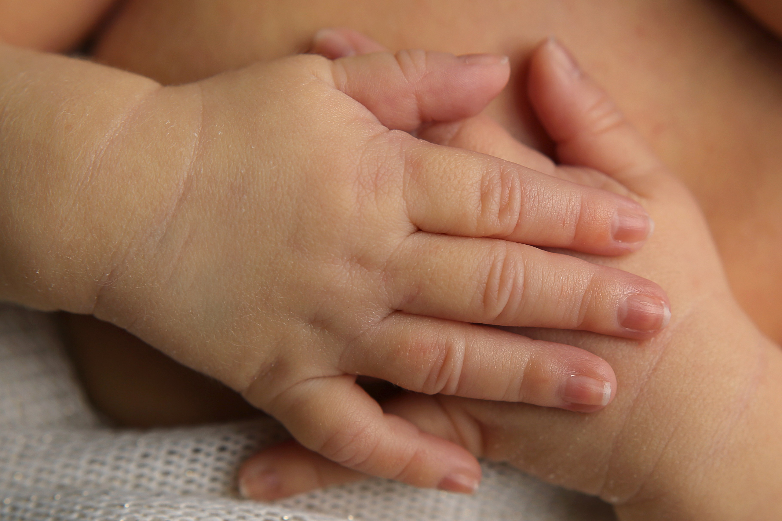 Александр (новорожденные). Главная