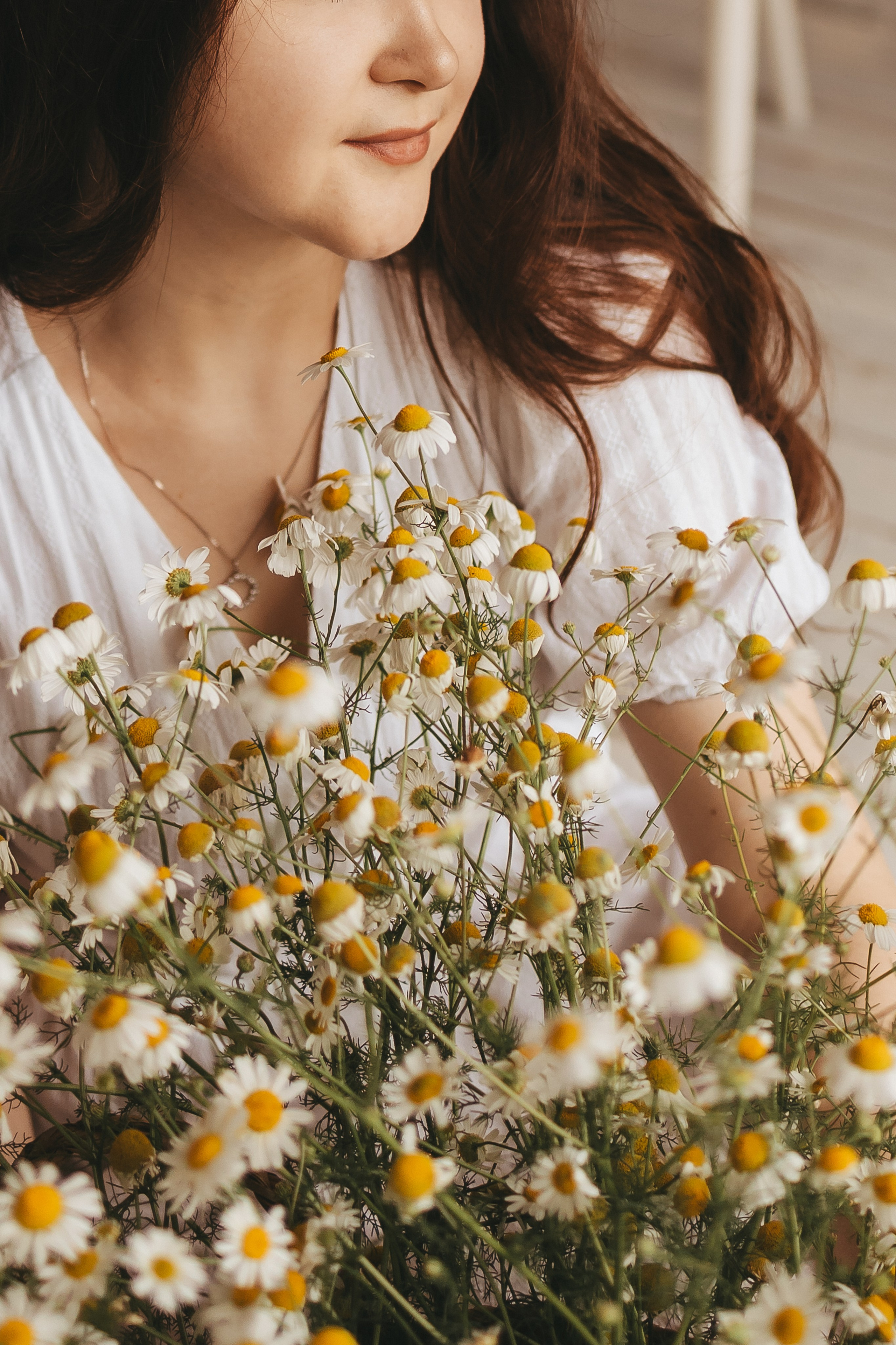 Ромашковое настроение. Семейный фотограф Тюмень Ксения Дереглазова