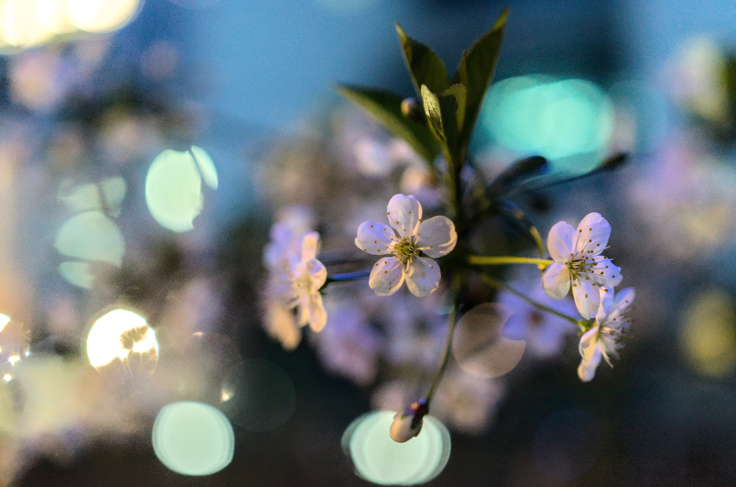 Природа. Фото детских спортивных мероприятий и всякое интересное через объектив