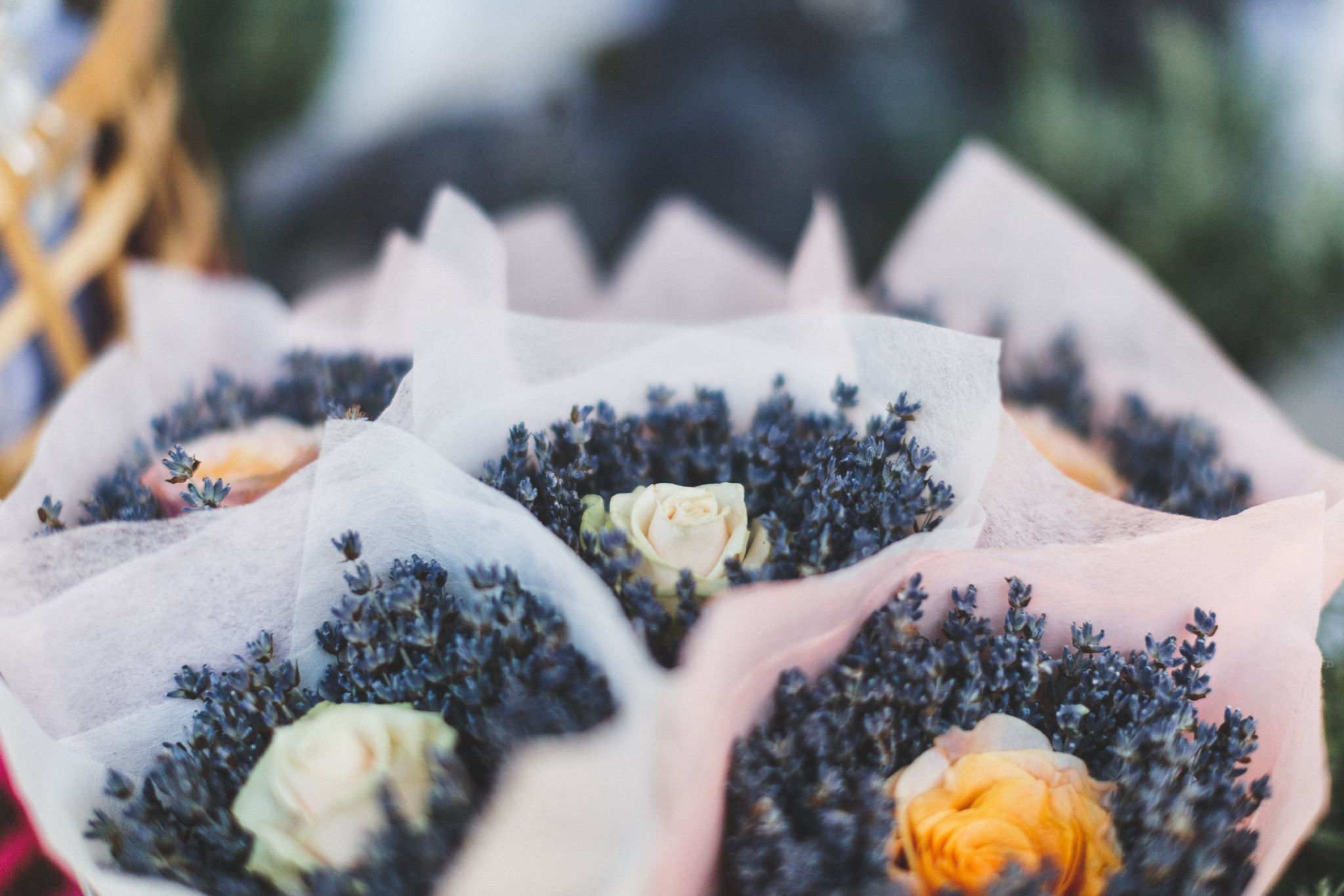 6 августа 2017 / Стрелка / Часть 1 / фотографии Иван Гущин. Фотоотчеты «Ламбада-маркета»