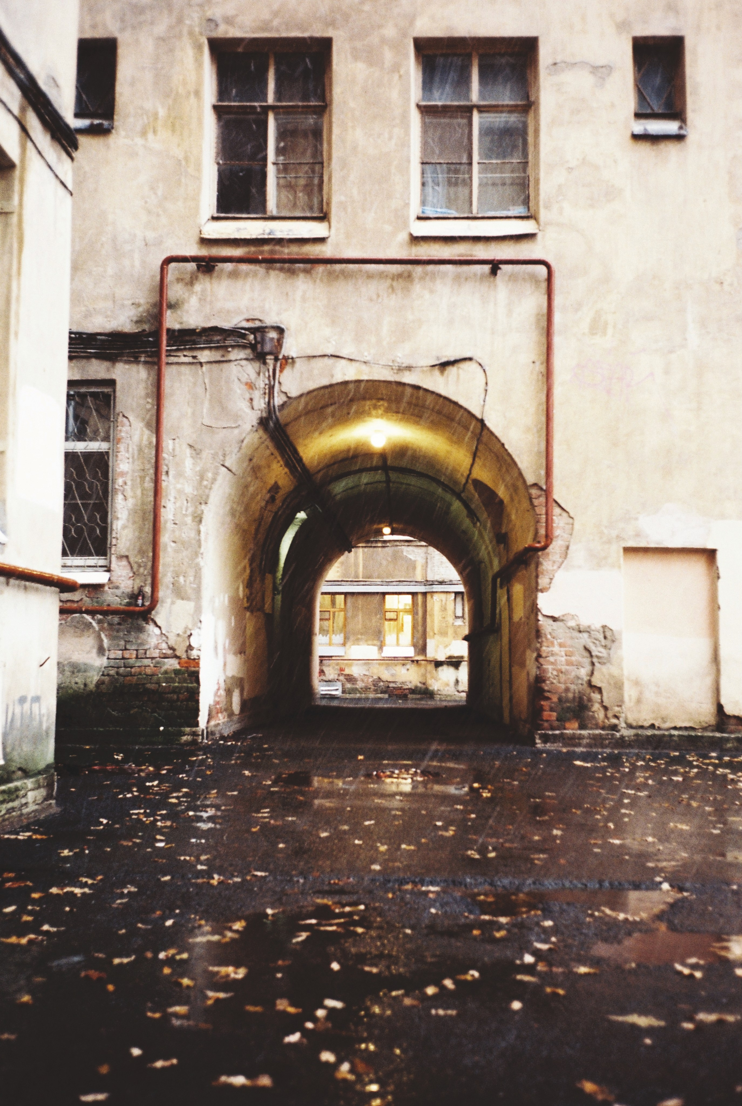 Фотографии цветные. Свадебный и семейный пленочный фотограф в Петербурге Истомина Ирина