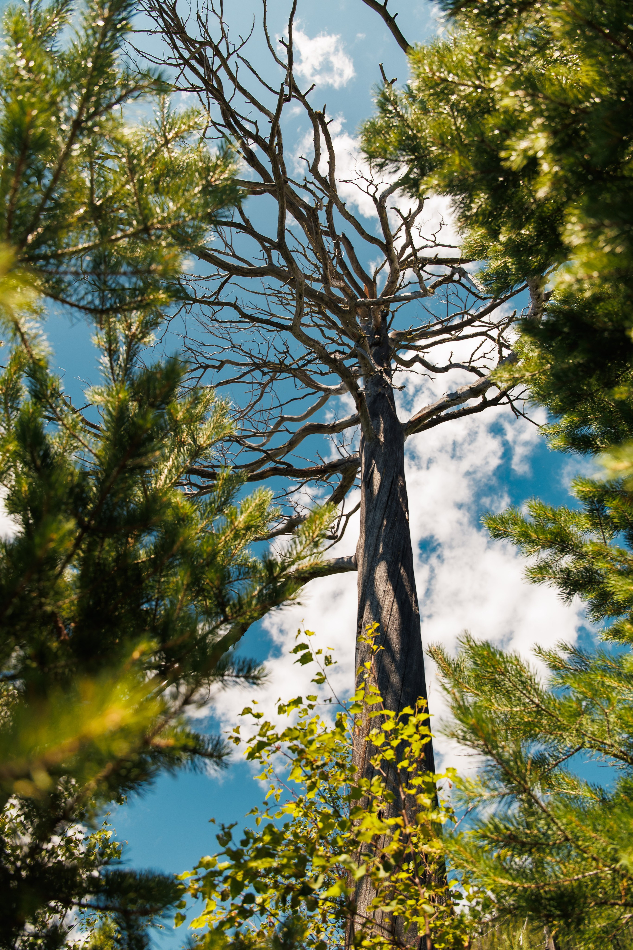 Летний Байкал