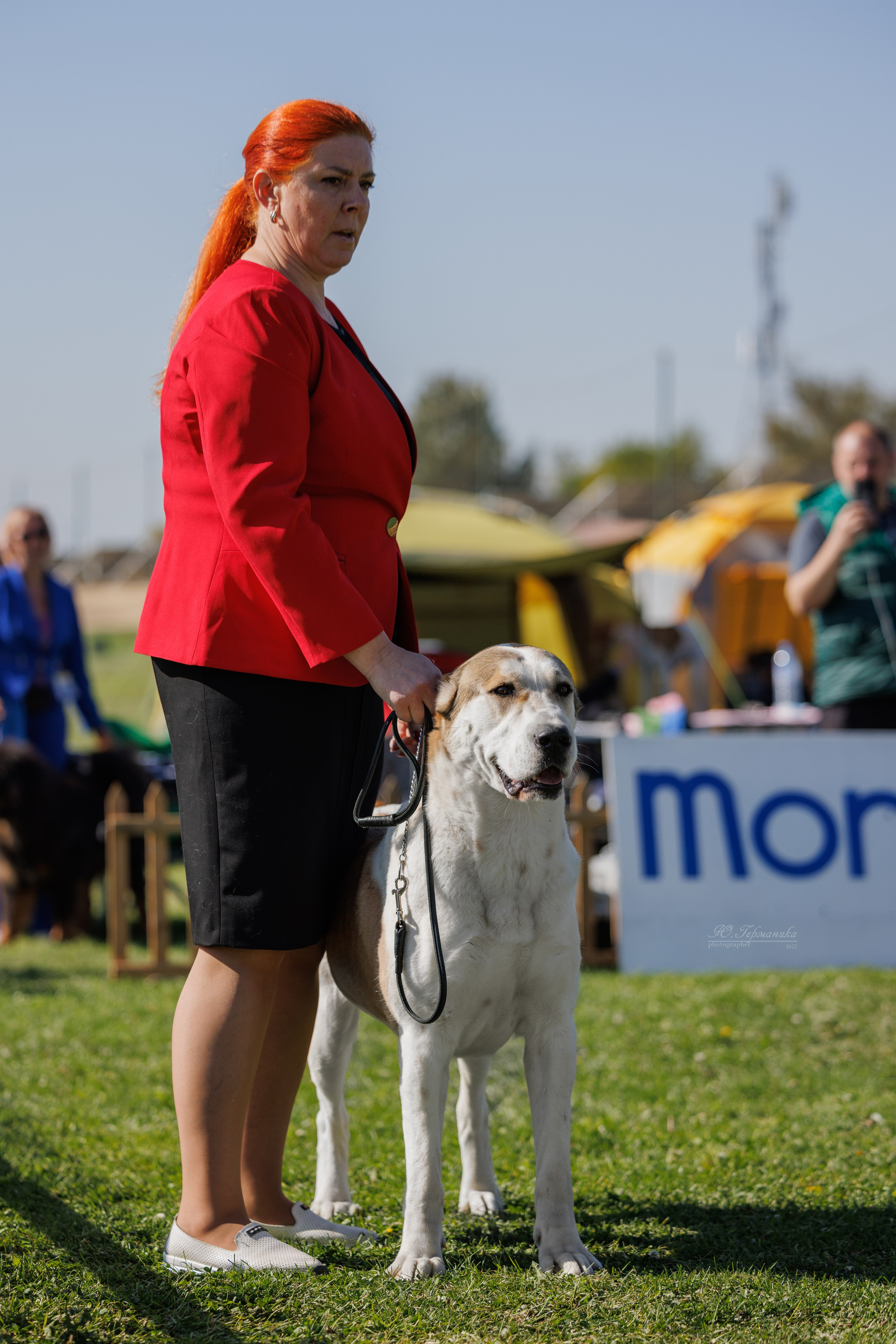 Ереван 14-16.10.2025. Фотограф-анималист Юлия Германика