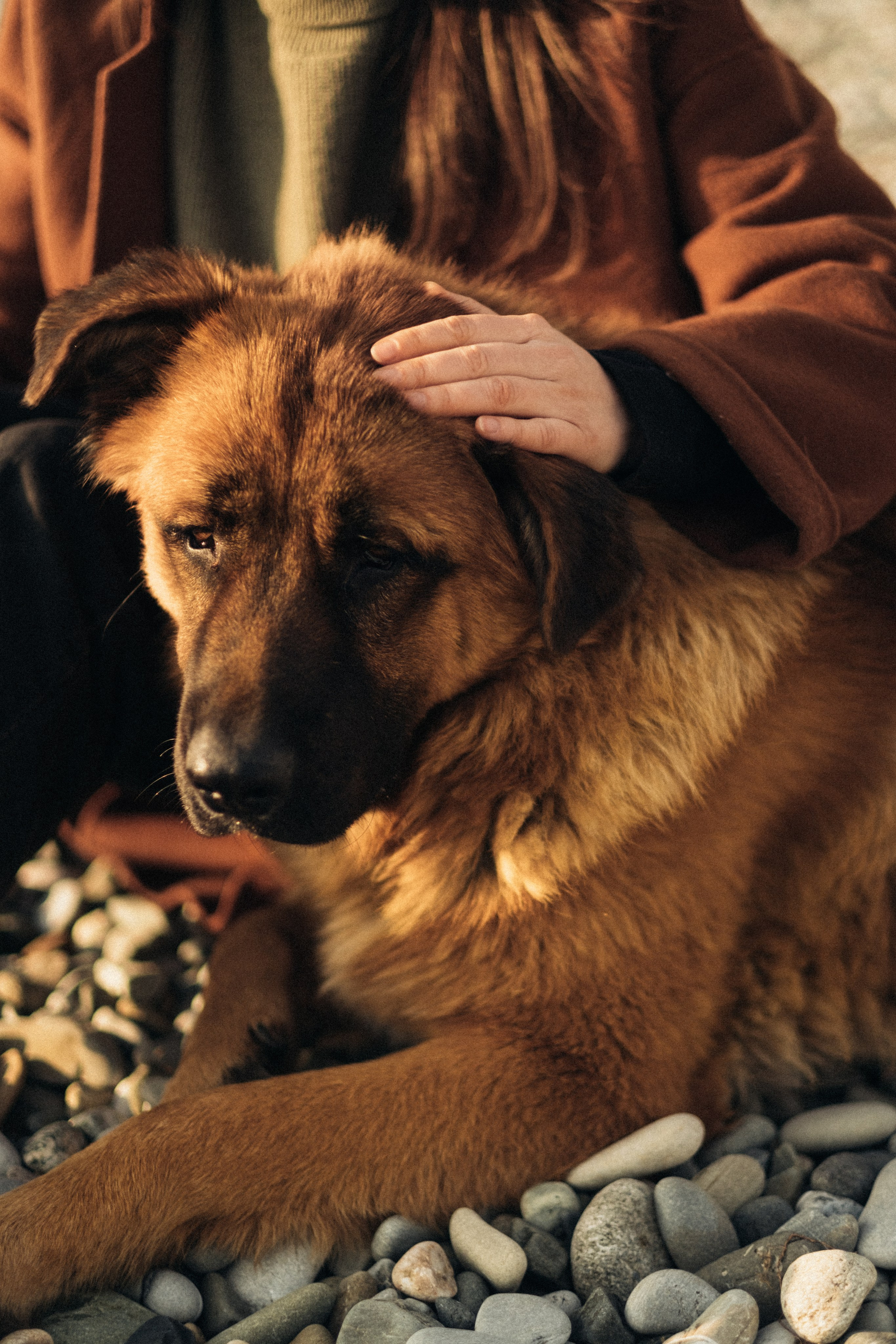 Миро. Свадебный Видеограф Фотограф в Сочи
