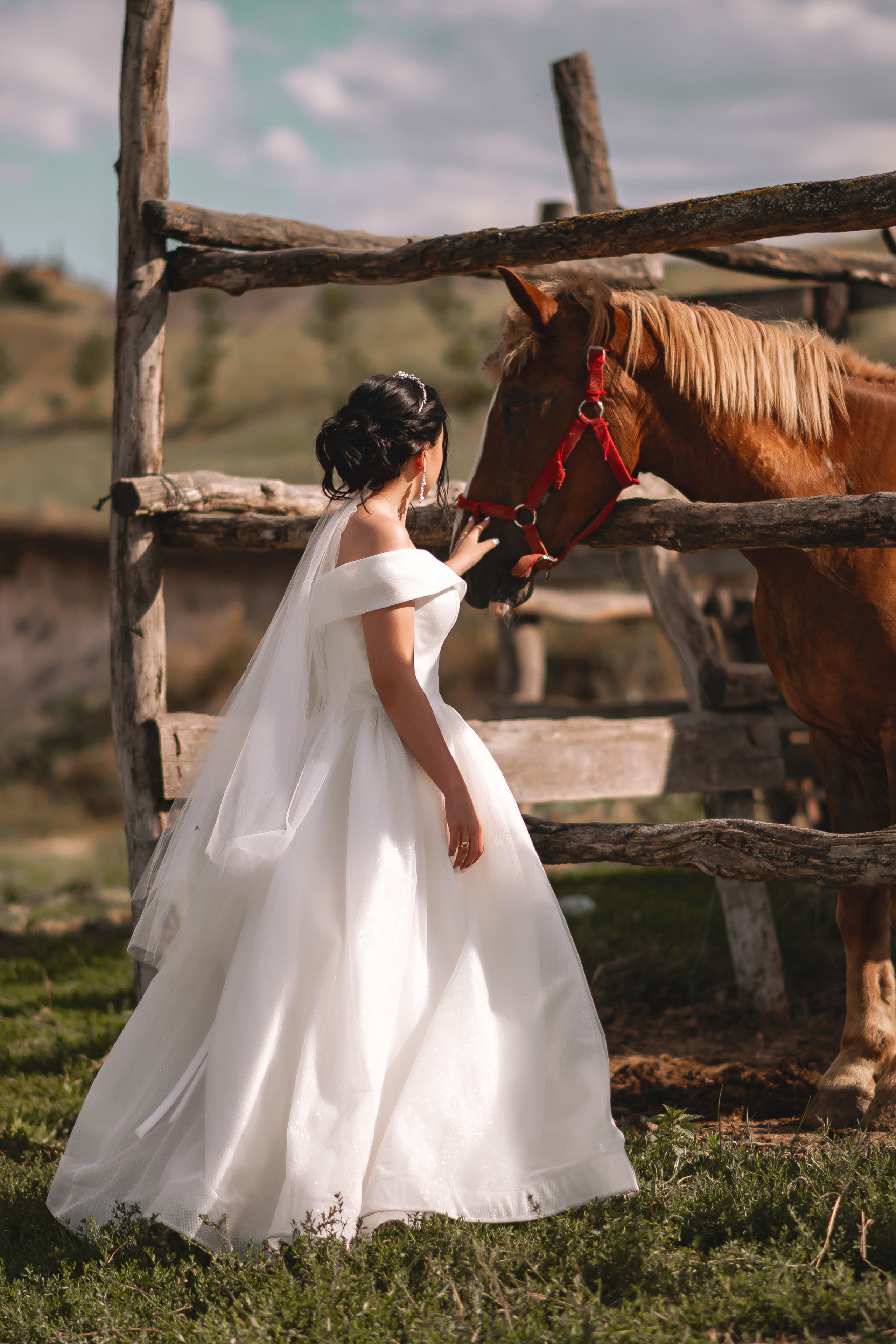 Илья и Виктория. Свадебный фотограф Белгород Валуйки Старый Оскол Воронеж