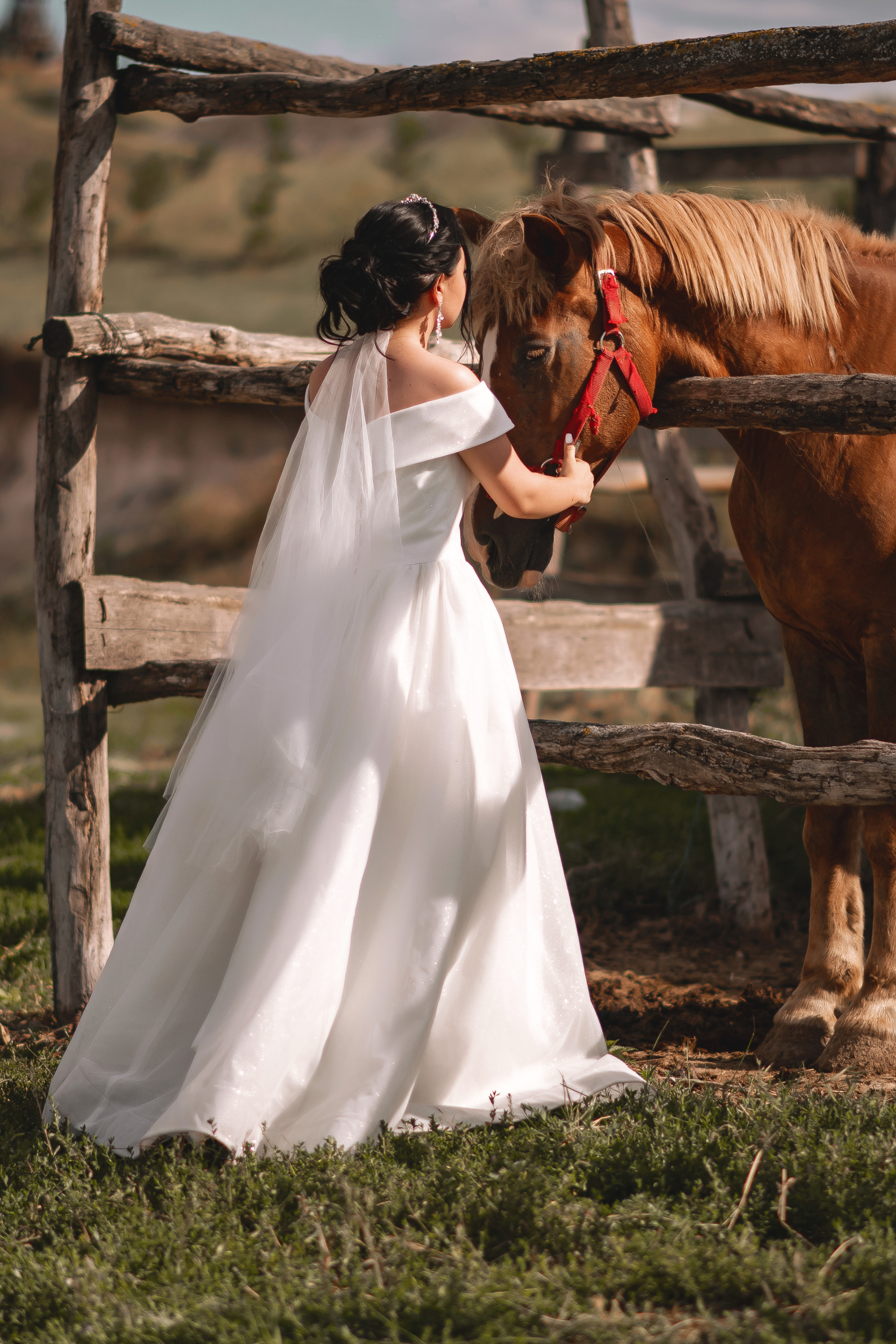 Илья и Виктория. Свадебный фотограф Белгород Валуйки Старый Оскол Воронеж