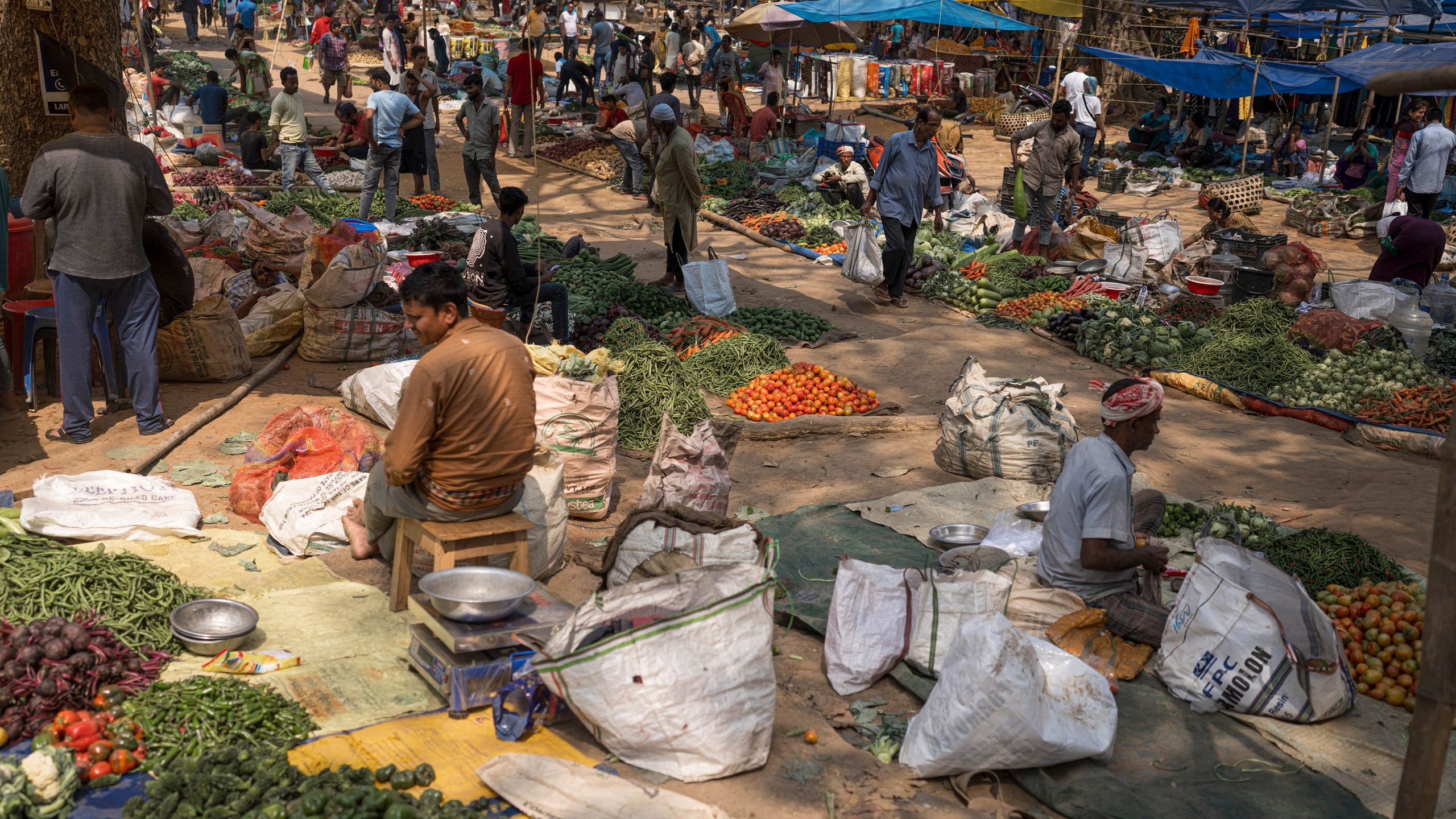 India travel. Фотограф Сергей Танков