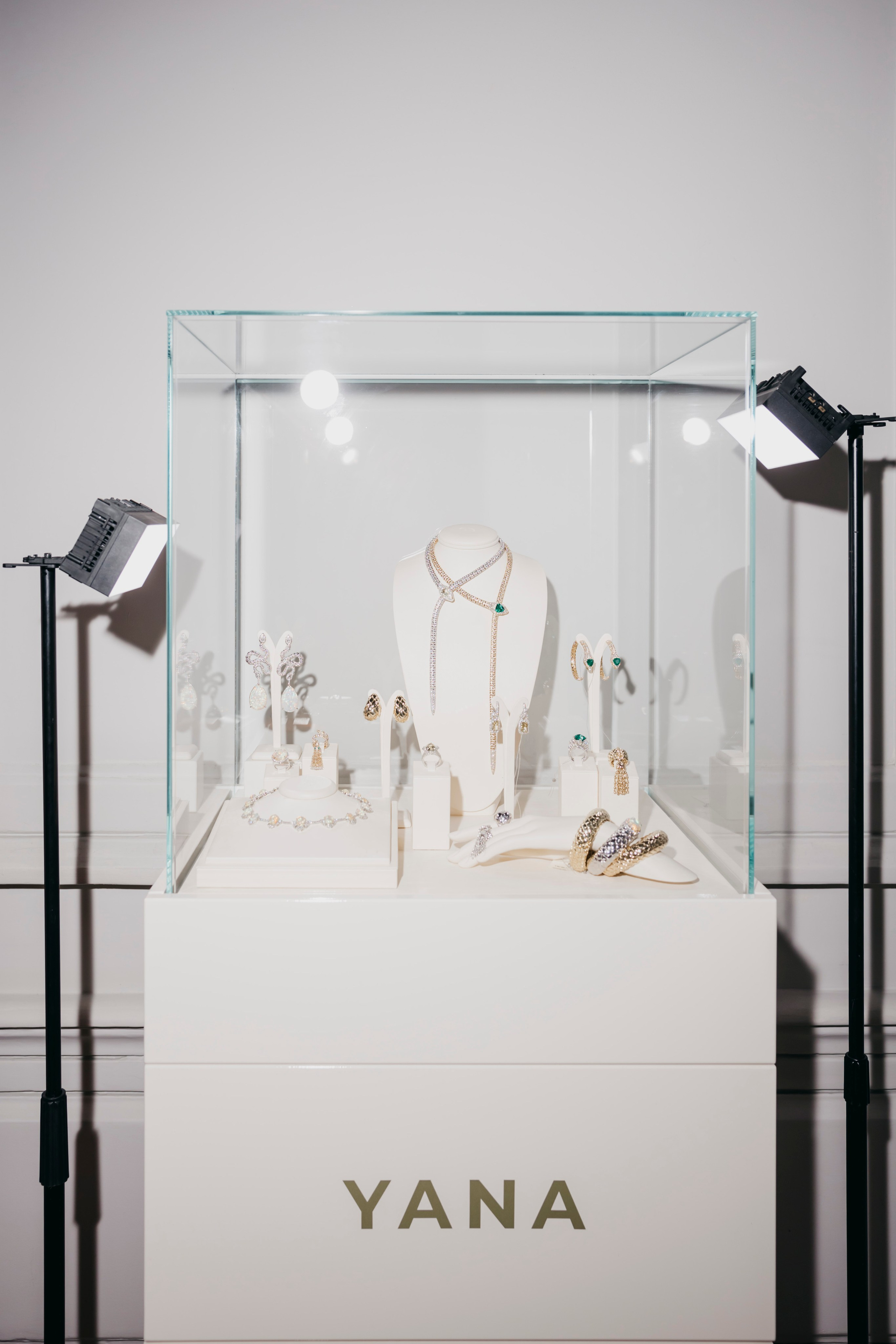 «Снежный Коктейль» от дома моды «YANA» Яны Раскаваловой. «Птичка на проводе»: информационный портал в Москве