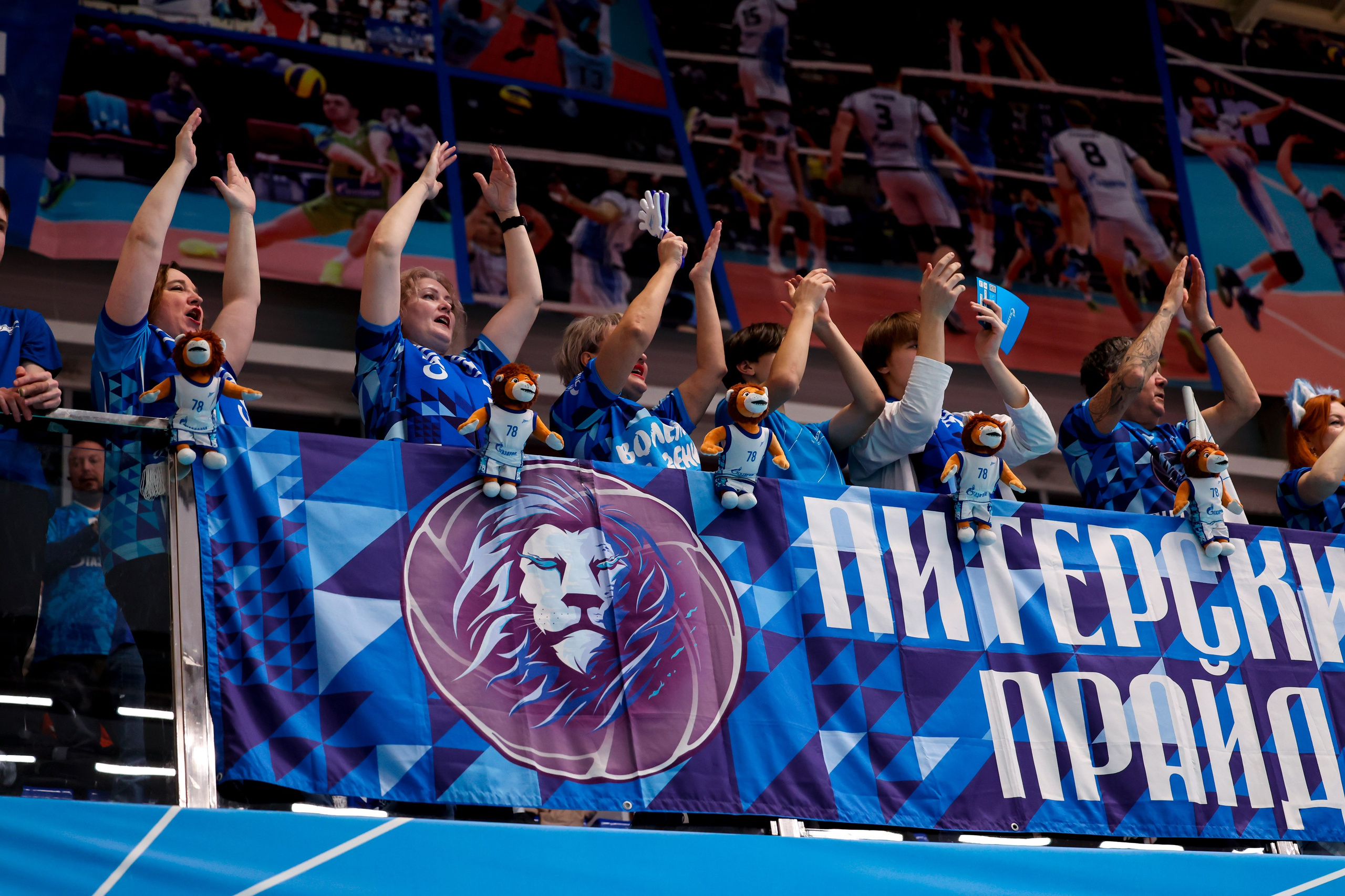 ВК Зенит — ВК АСК 15.03.2025. Спортивный и репортажный фотограф Антон Тереханов