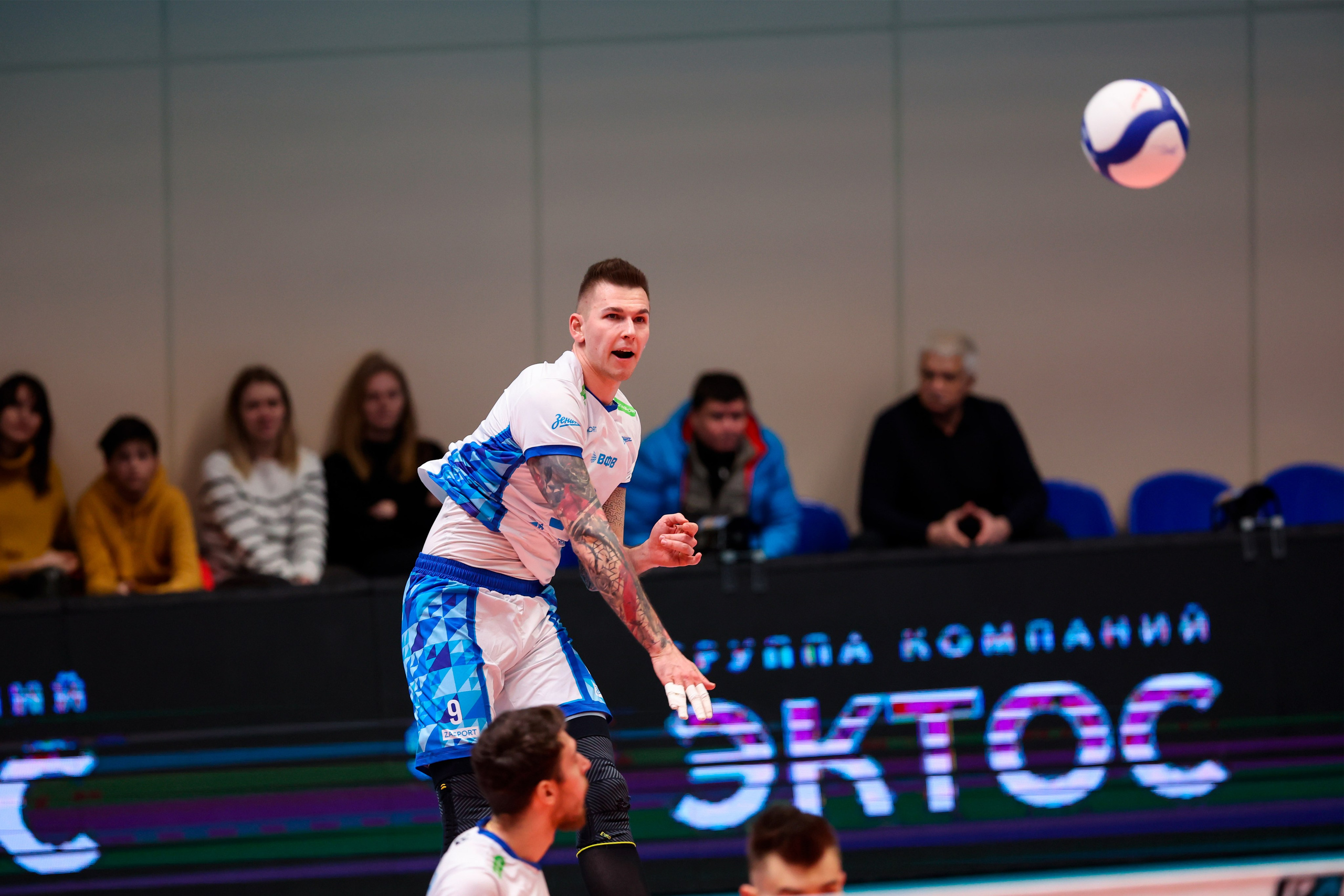 ВК Зенит — ВК АСК 15.03.2025. Спортивный и репортажный фотограф Антон Тереханов