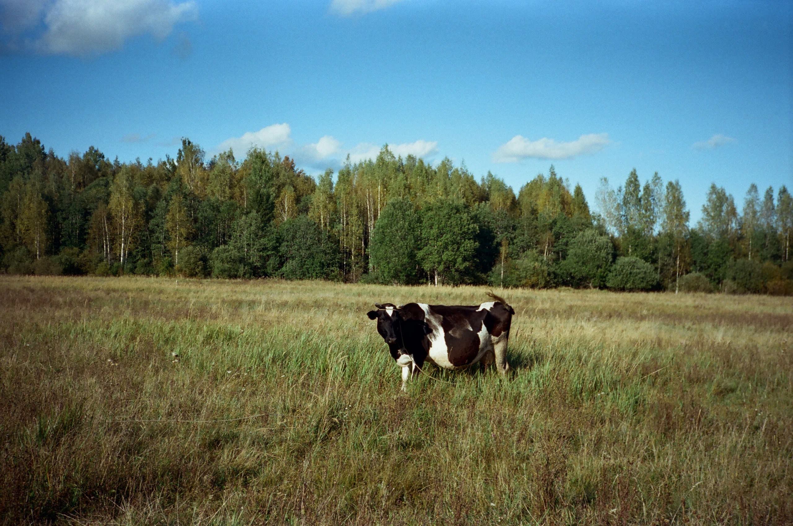 August film/2023. <3