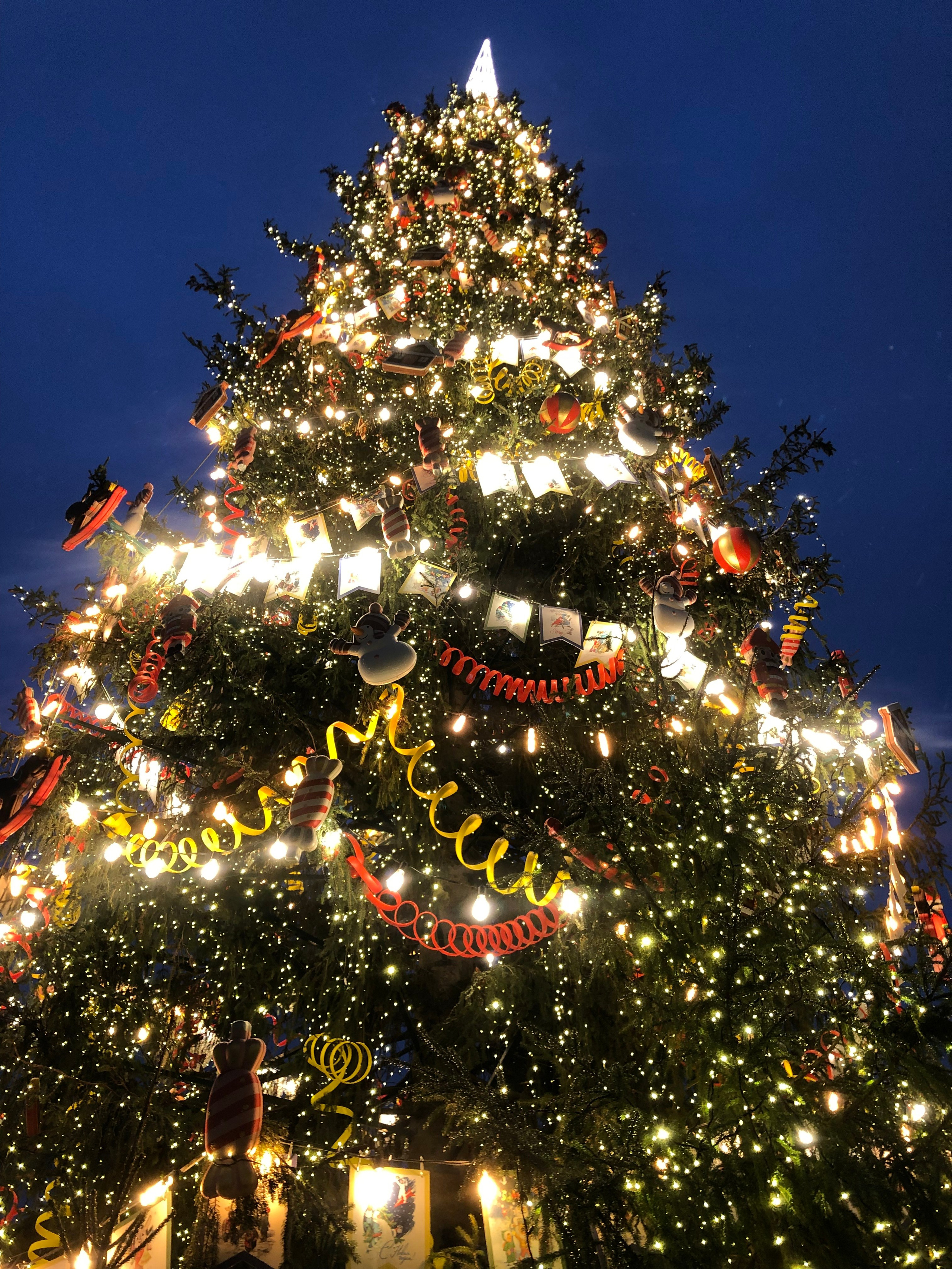 Декабрь. Семейный, Свадебный фотограф СПБ Питер— Романова Екатерина