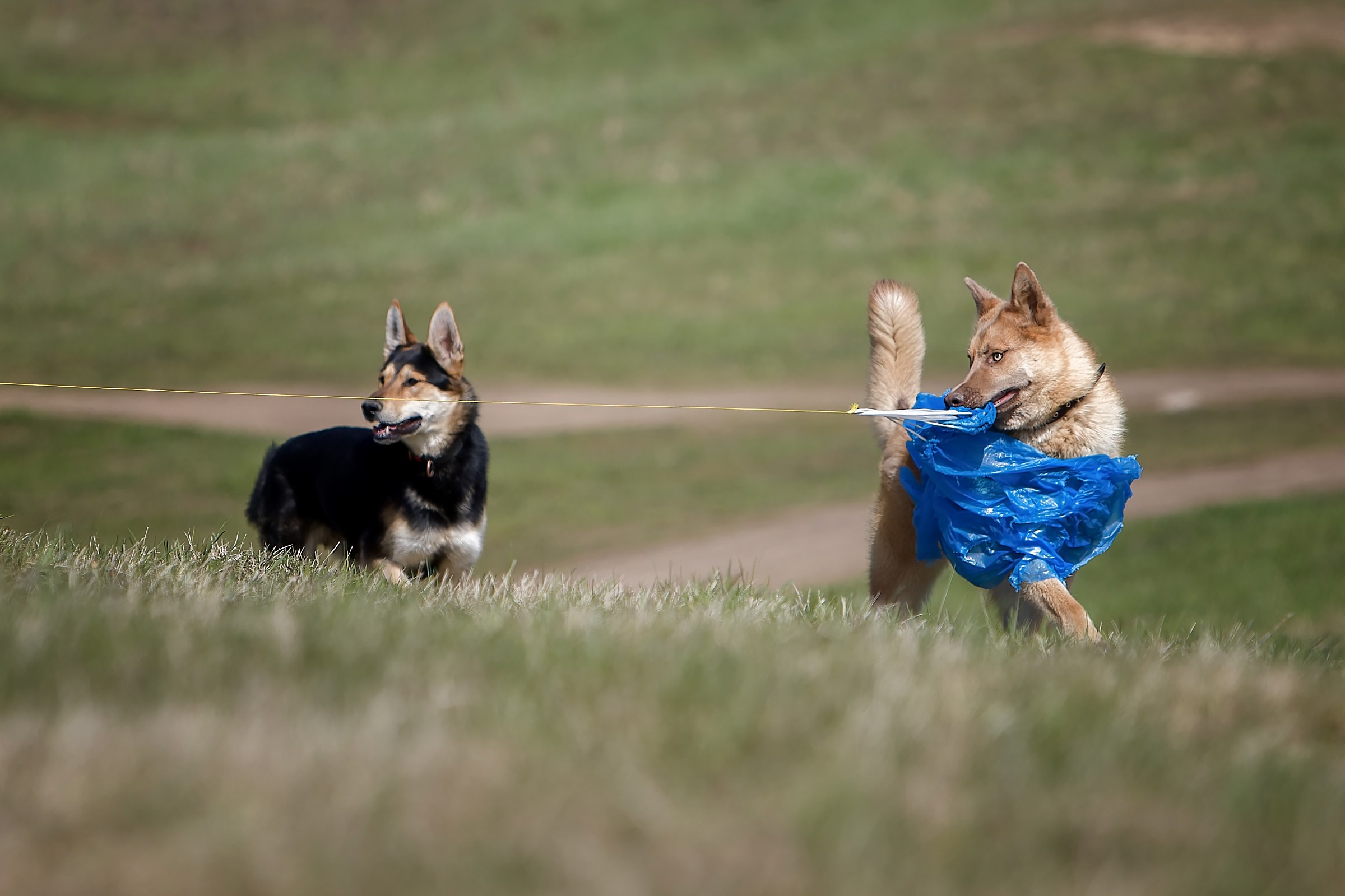 Lure Club 2025. Irenephoto.ru