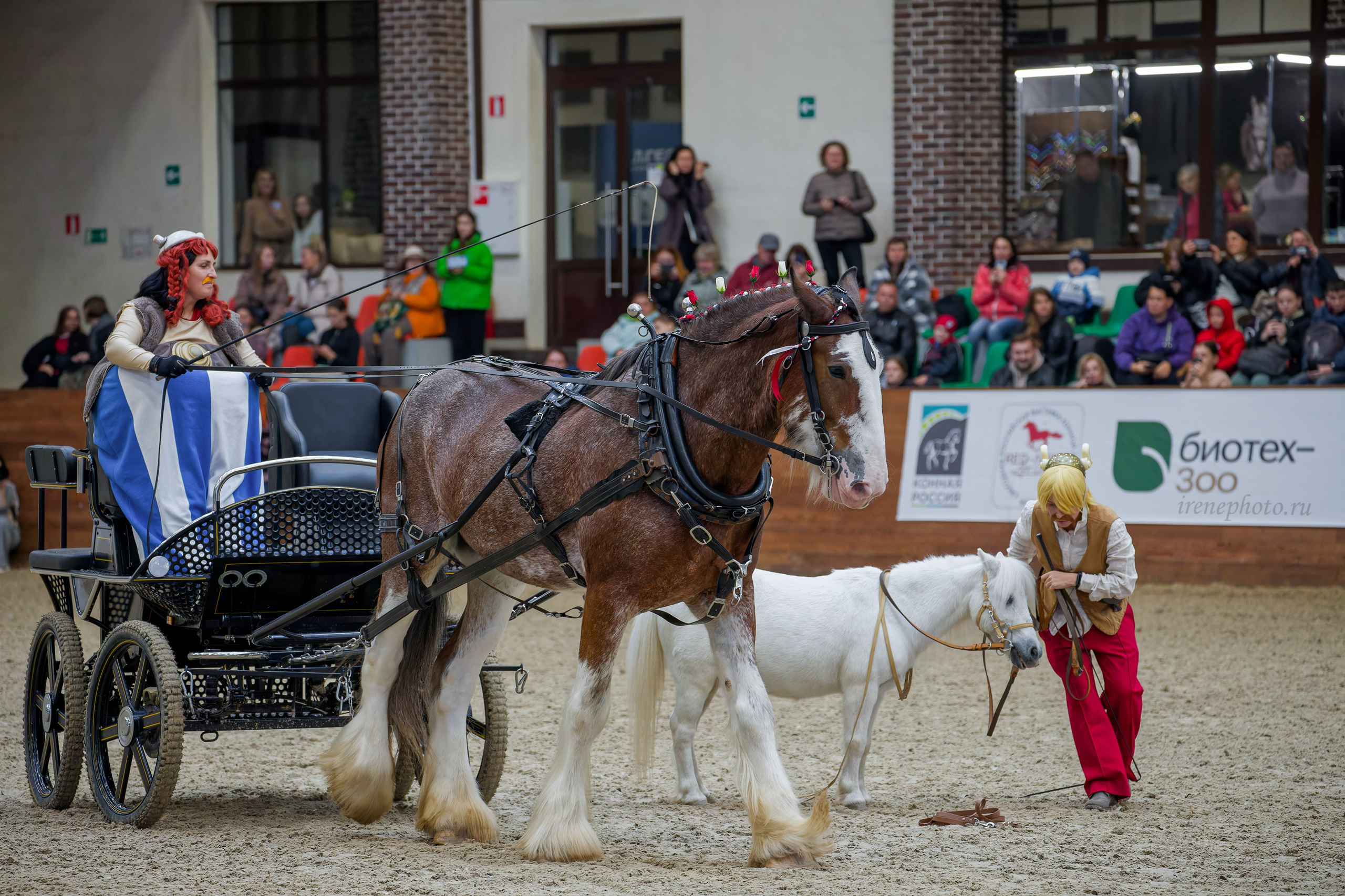 Конная Россия 2024. Irenephoto.ru