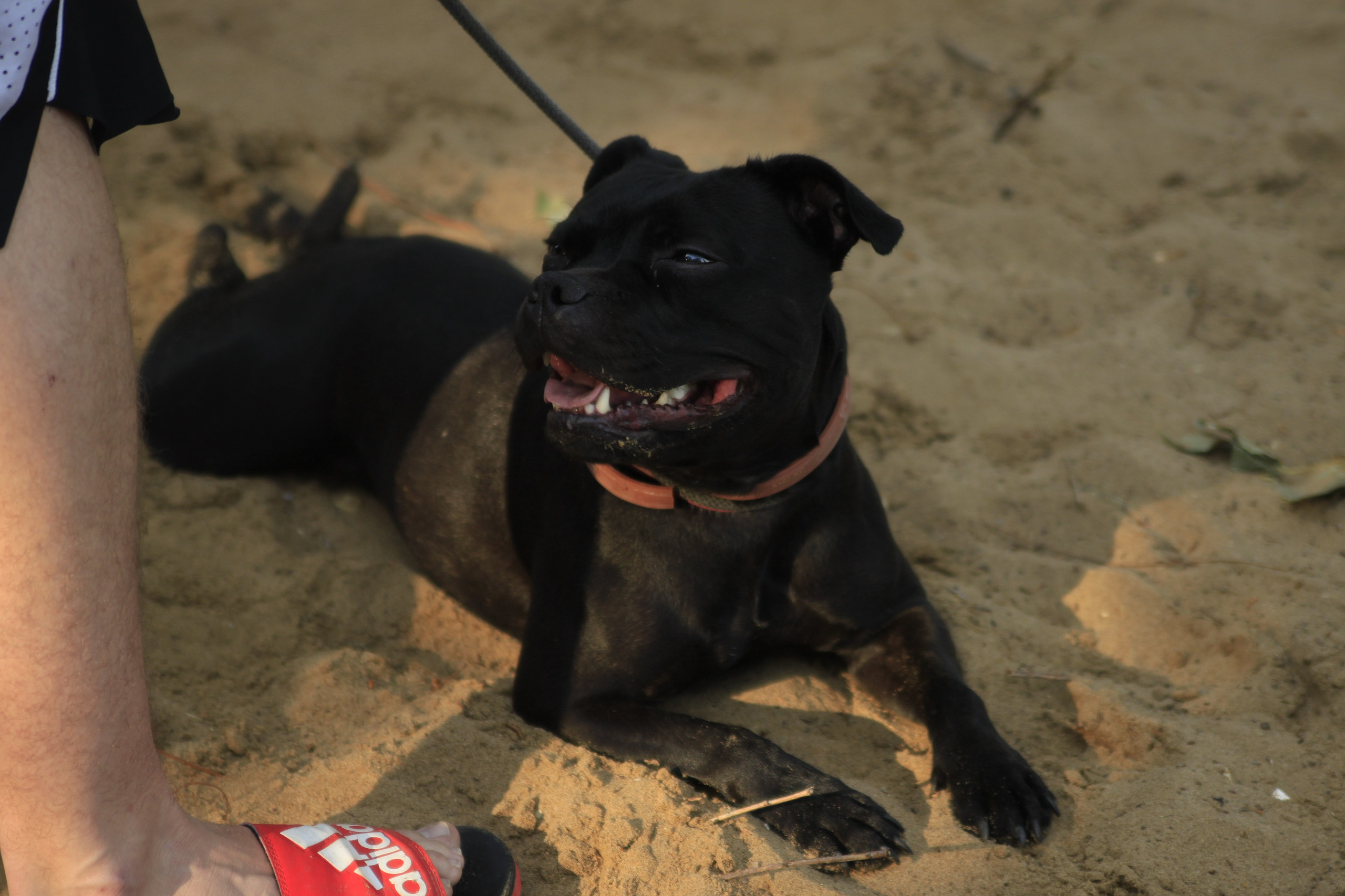 Сёрфинг в Саратове!. Фотокрыжовник. Снимаем, дружим, путешествуем