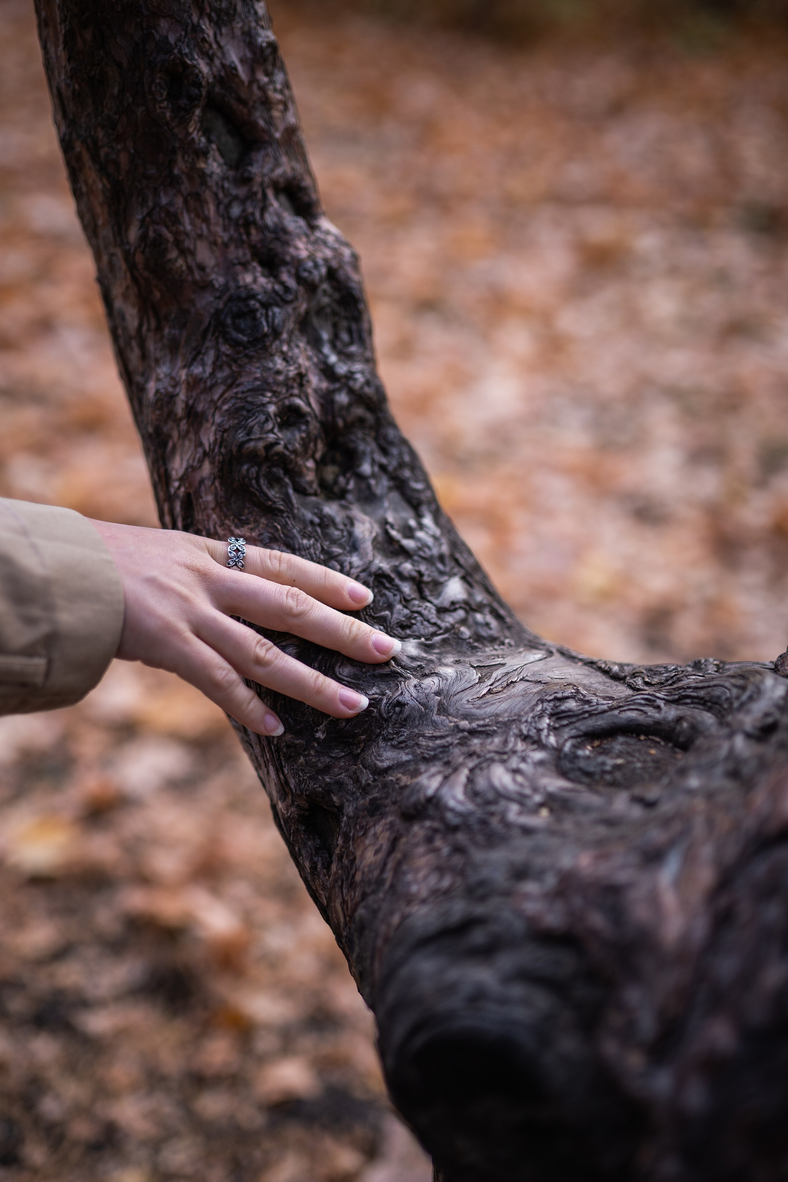 Ксения. Ботанический сад. Фотограф в Самаре Иван Булатов