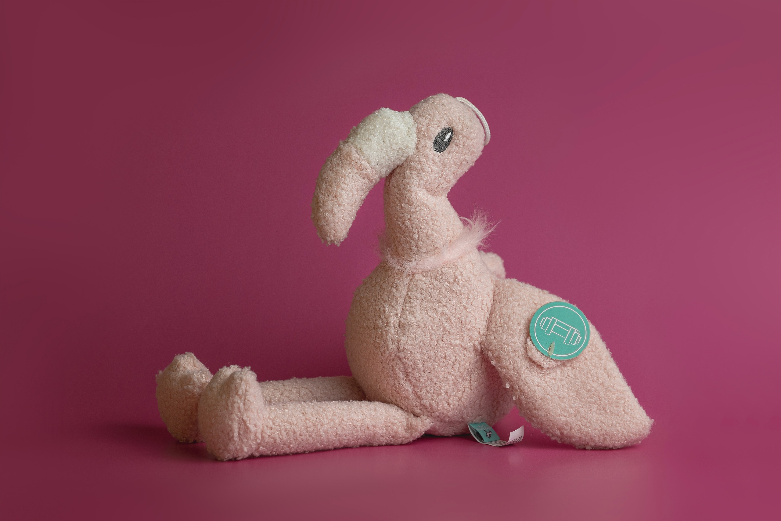 Для брендов. Фотограф анималист в Москве Майорова Евгения