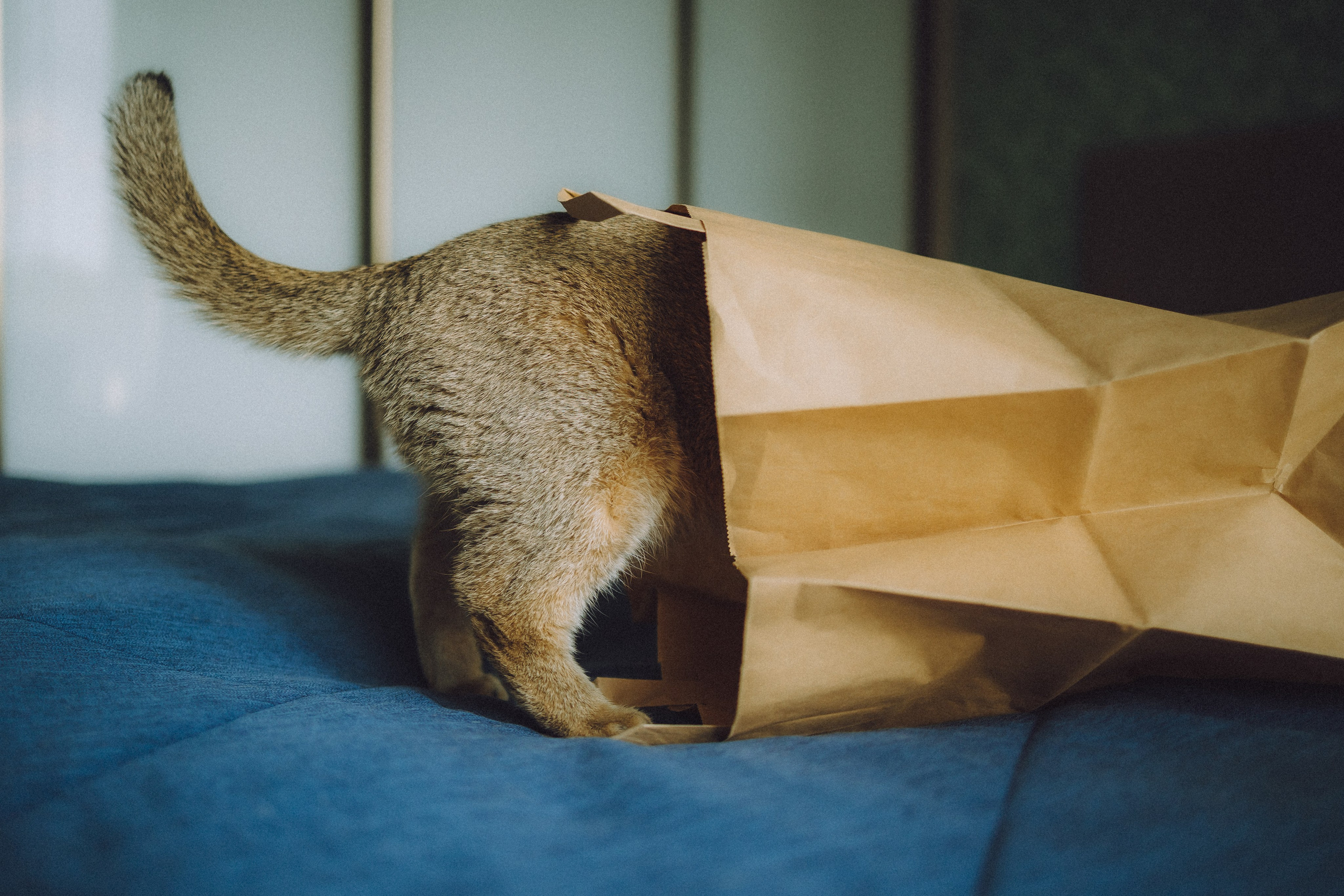 Генри и его семья