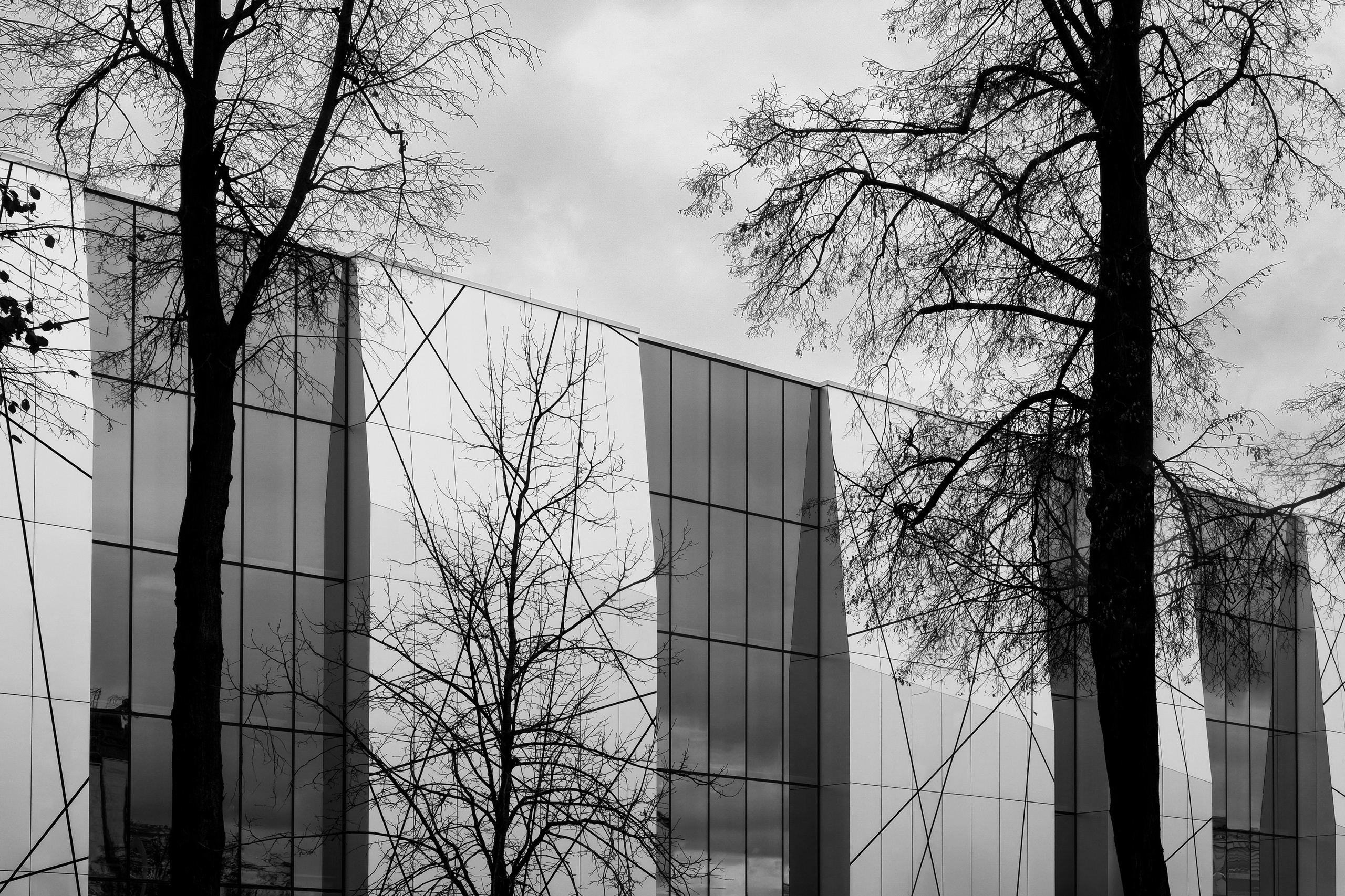 Дворец тенниса «Лужники». Михаил Мулач | Архитектурный фотограф