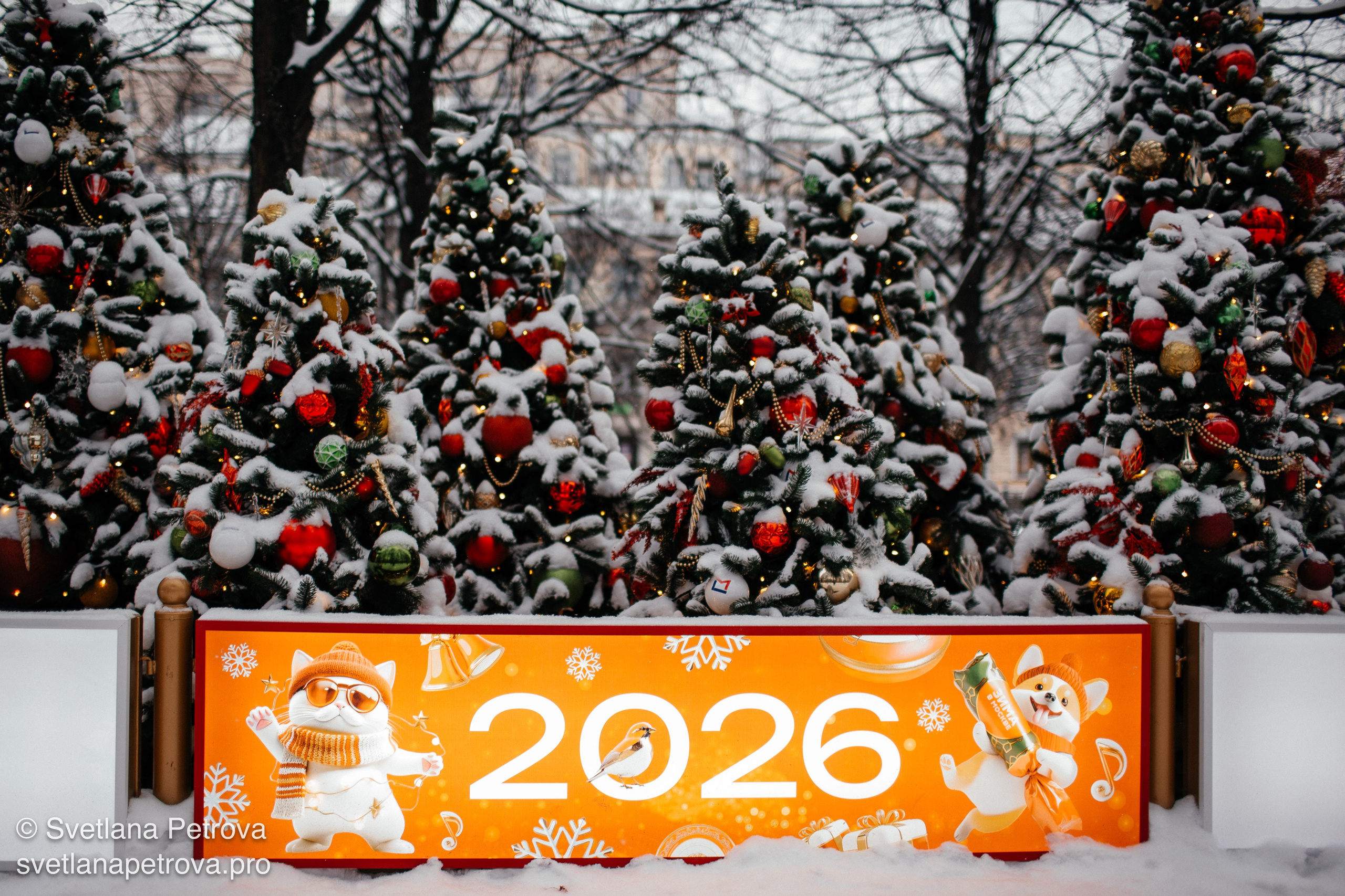 С Новым 2026 годом!. Фотограф Светлана Петрова