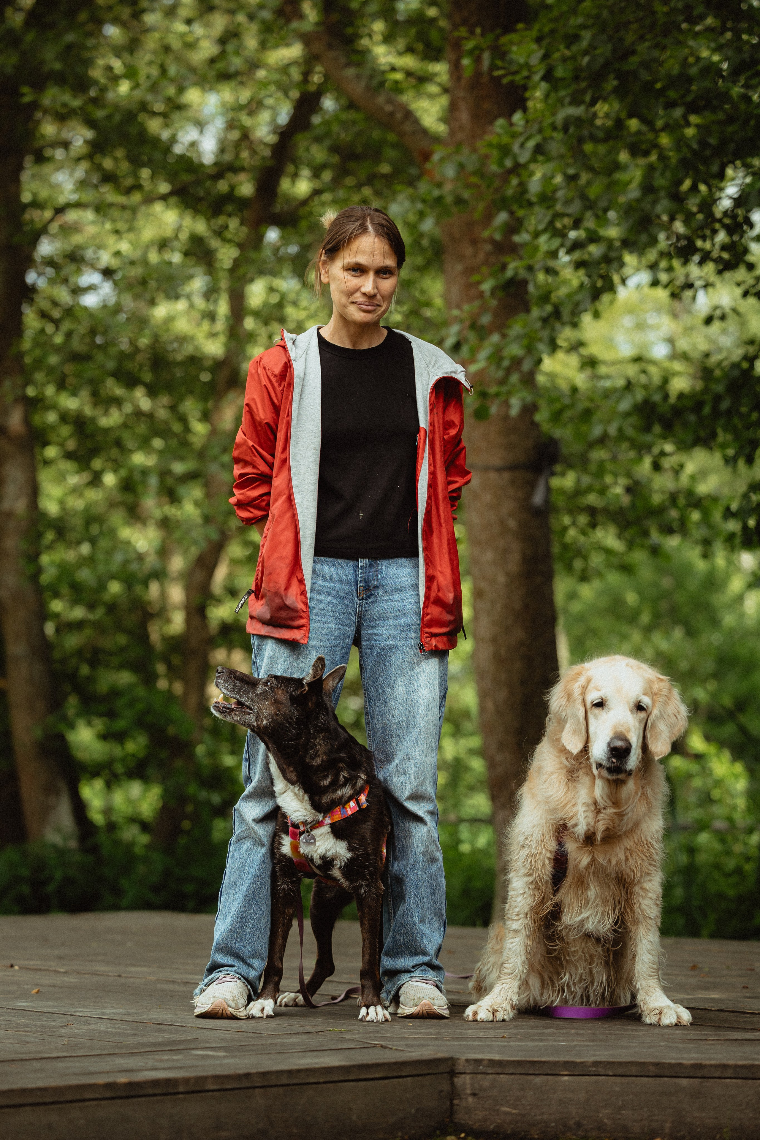 Выездной дог-тренинг от школы «Шерсть имею»