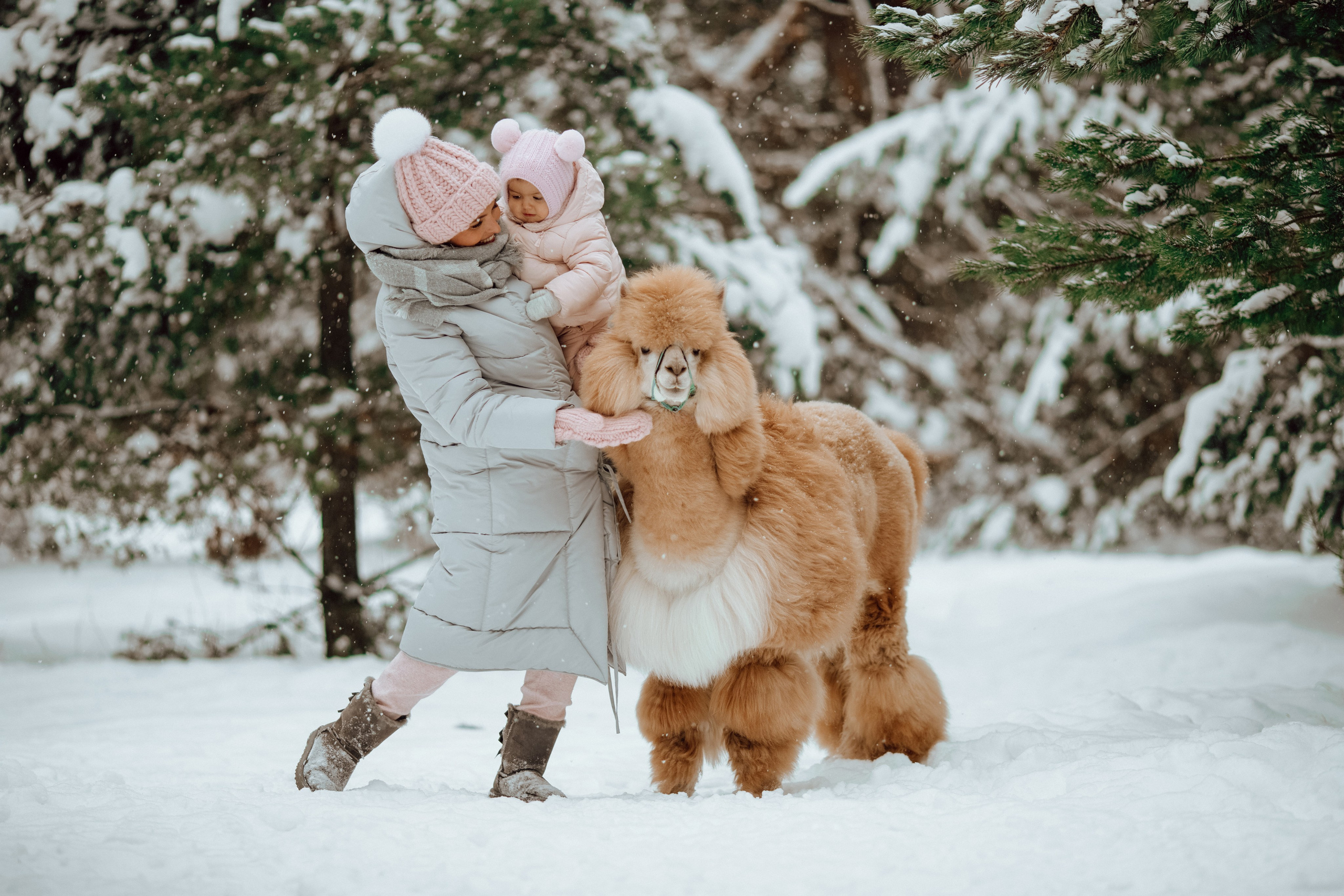 Семейные съемки. Алина Малышева, свадебный и семейный фотограф Москва