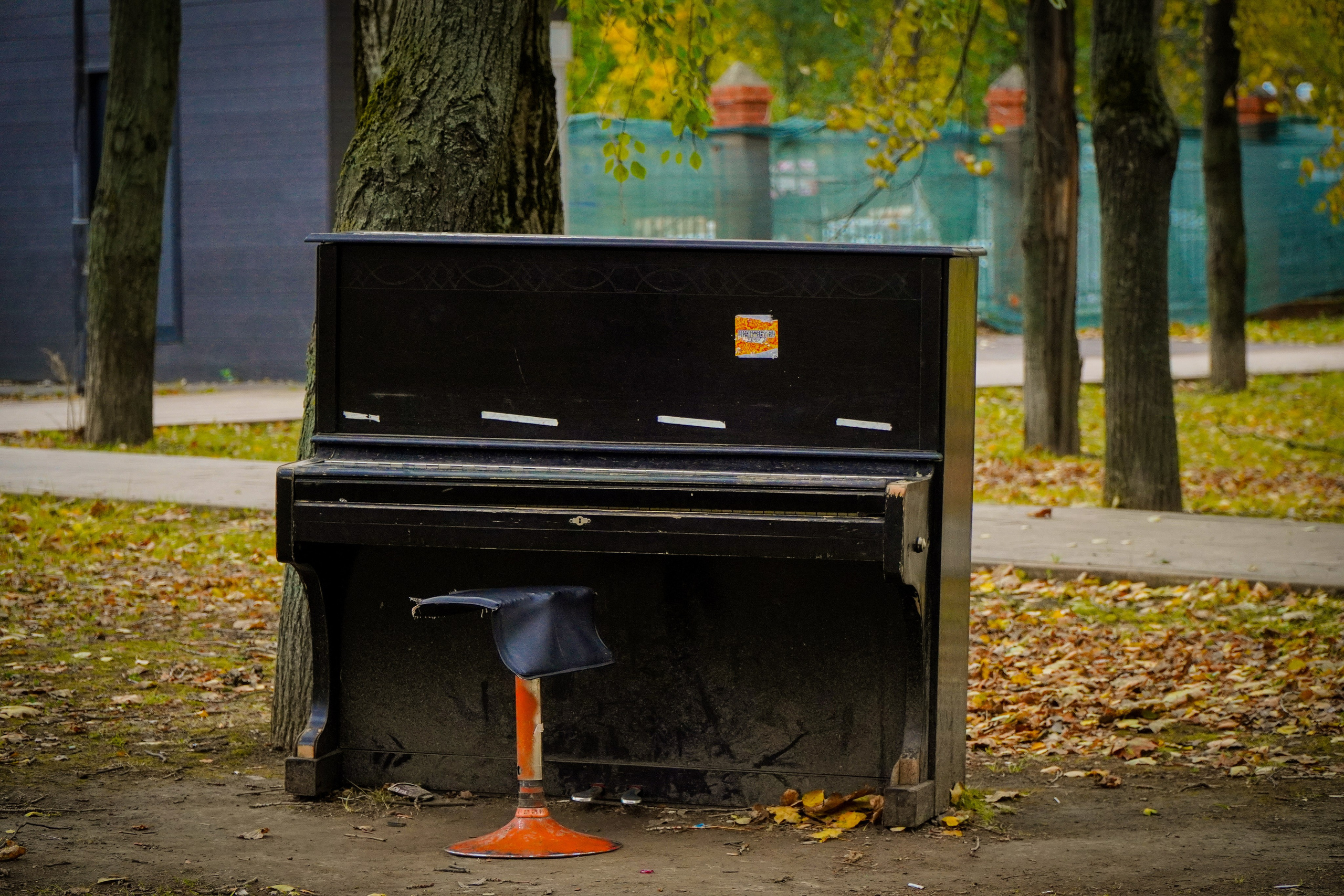 5 вёрст Наташинский 12 октября 2024. Роман Капилюшов. Бег. Фото. Видео. г. Люберцы