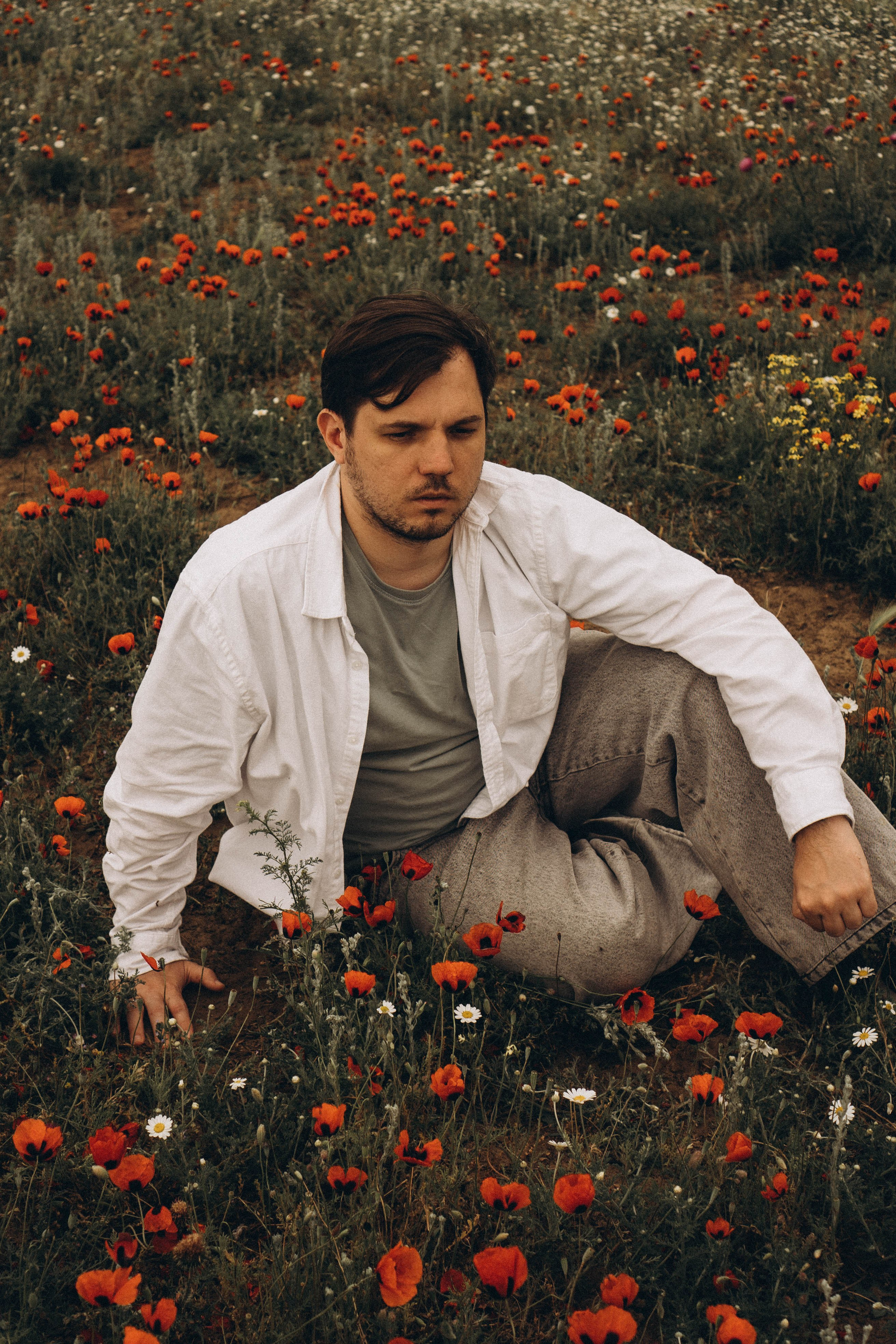 Маки. Профессиональный фотограф, Санкт-Петербург — Виктория Богомолова