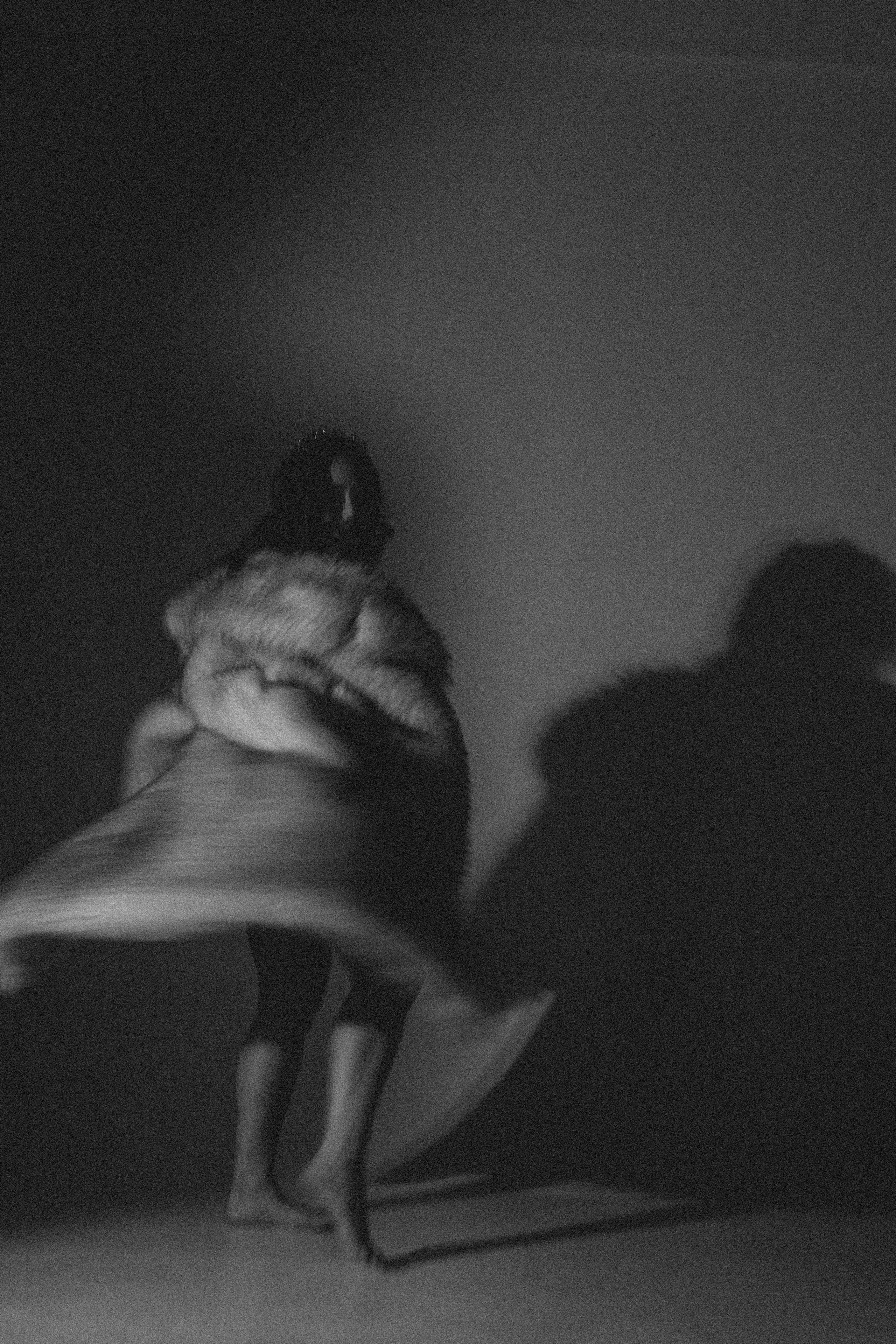 История ко дню рождения. Профессиональный фотограф, Санкт-Петербург — Виктория Богомолова