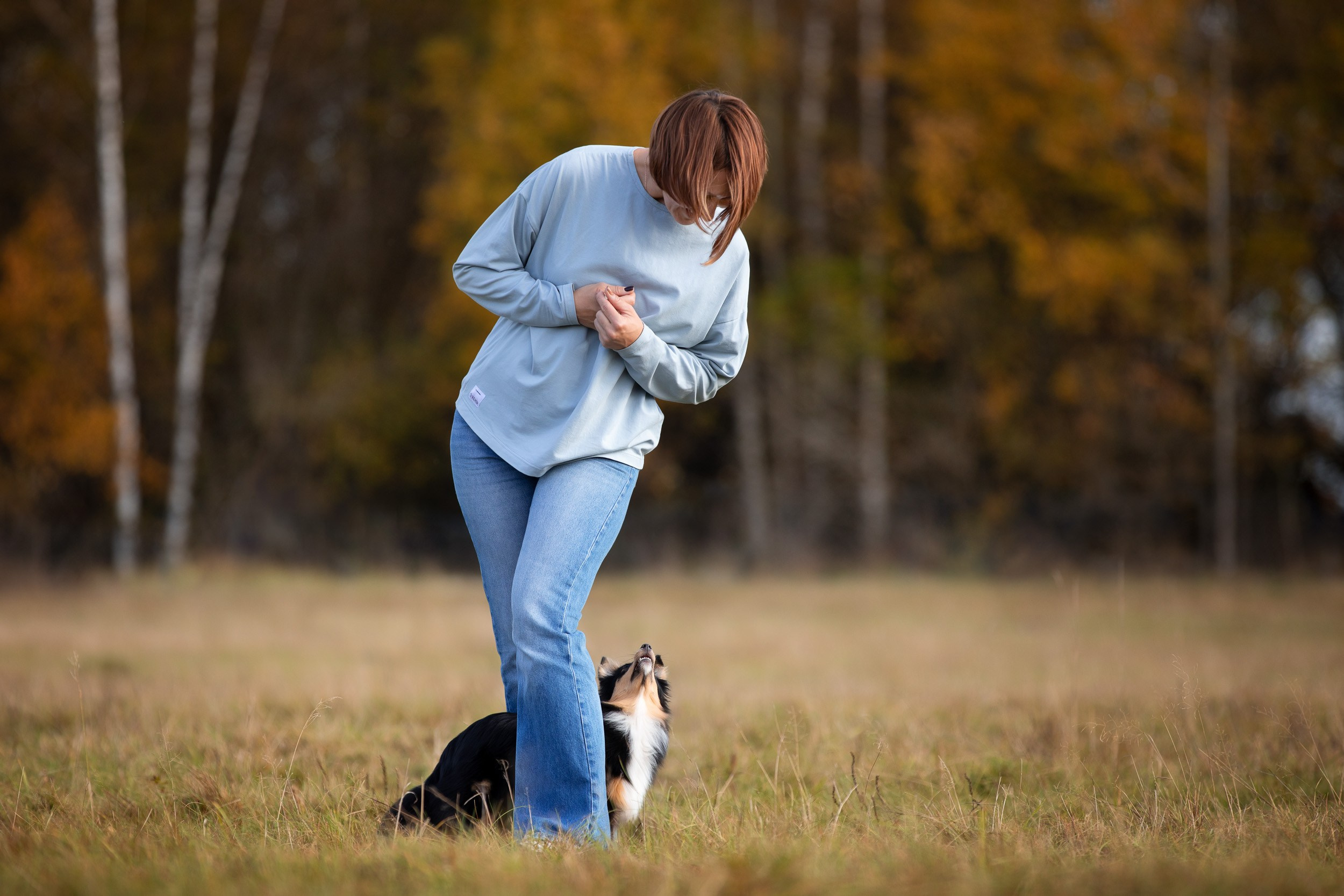 Мини фотосъемка с щенком шелти. Фотограф-анималист в Москве и Московской области Татьяна Фролова