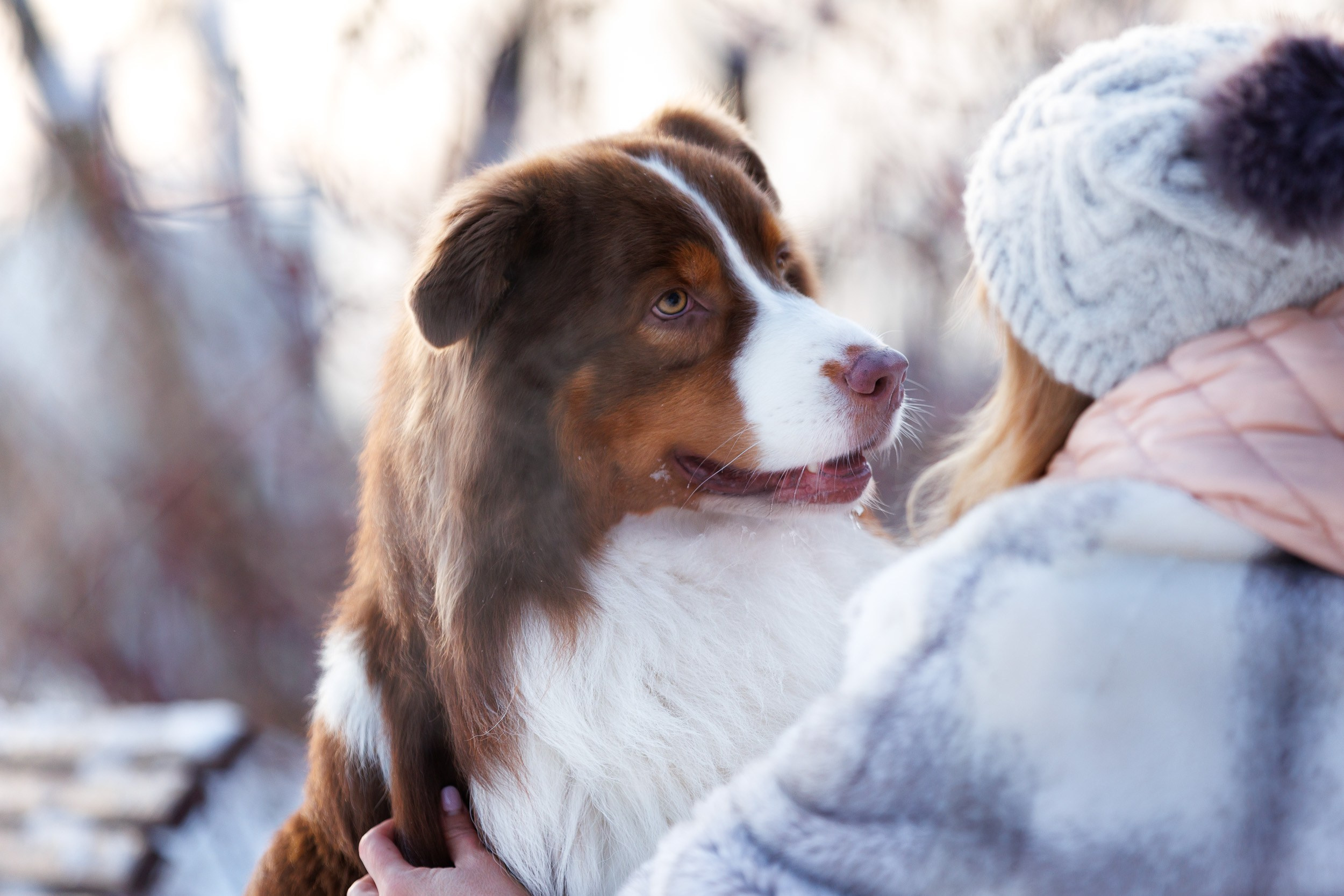 Марик и Дэн. Фотограф-анималист в Москве и Московской области Татьяна Фролова
