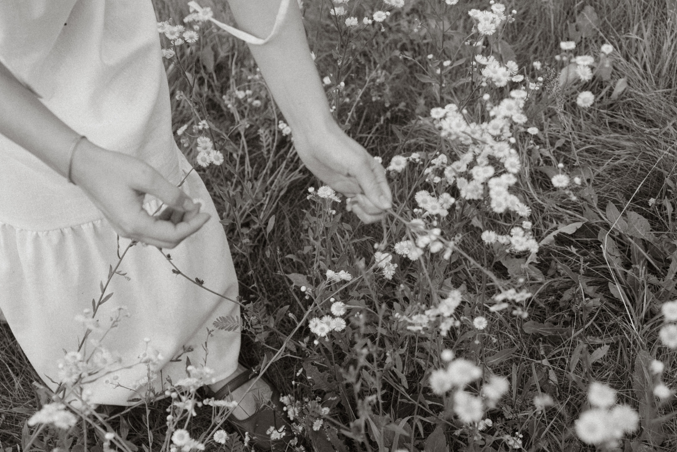 Полевая фотоистория. Лиза Фирстова — самый добрый фотограф