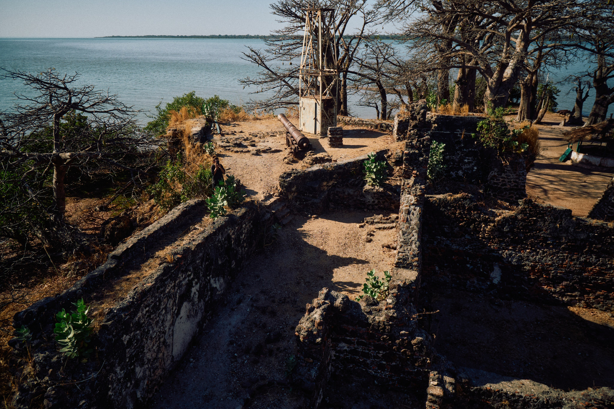 Gambia River. See the moment and catche. commercial and reportage