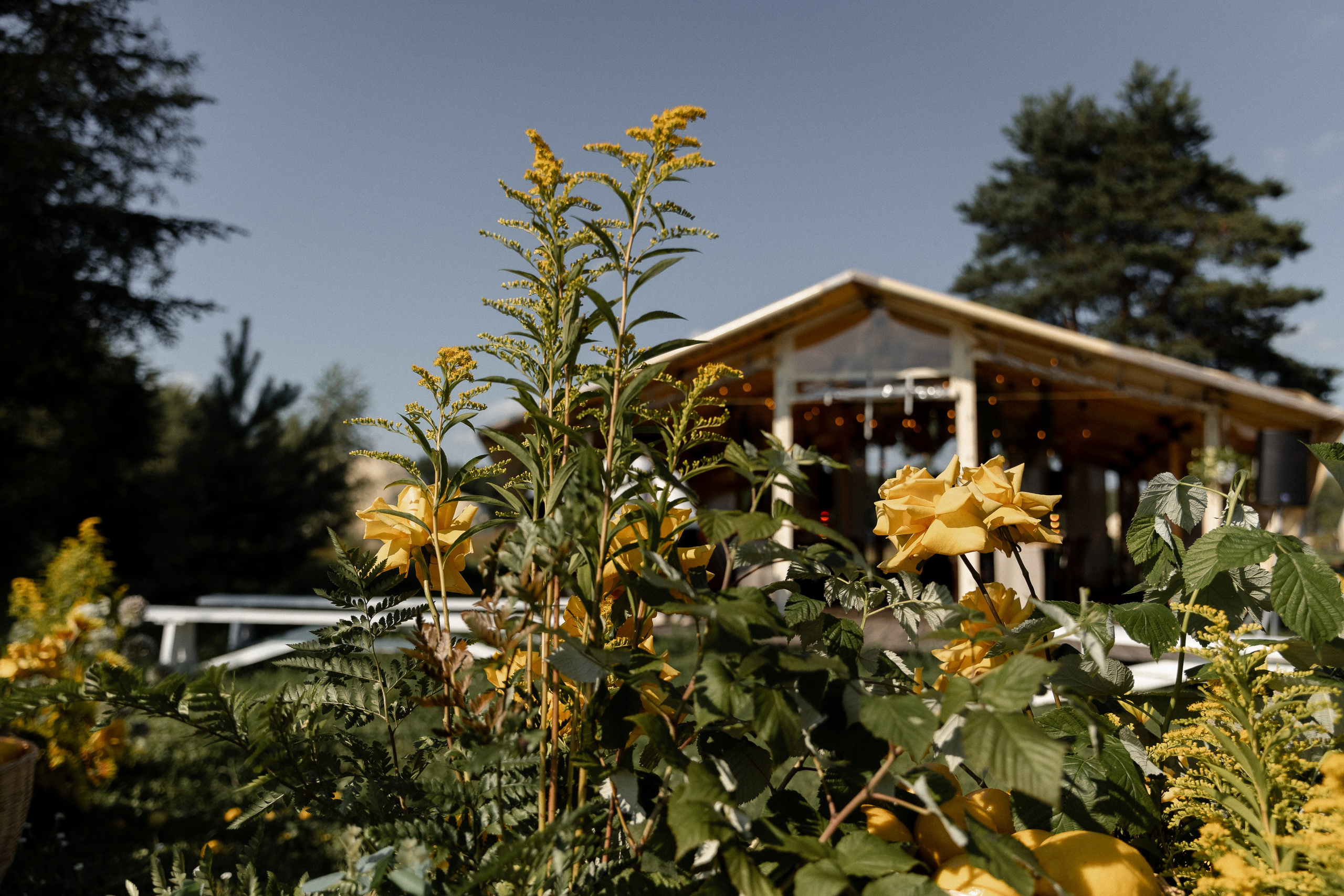 Кусочек Италии. Свадебный фотограф Ярославль, Рыбинск