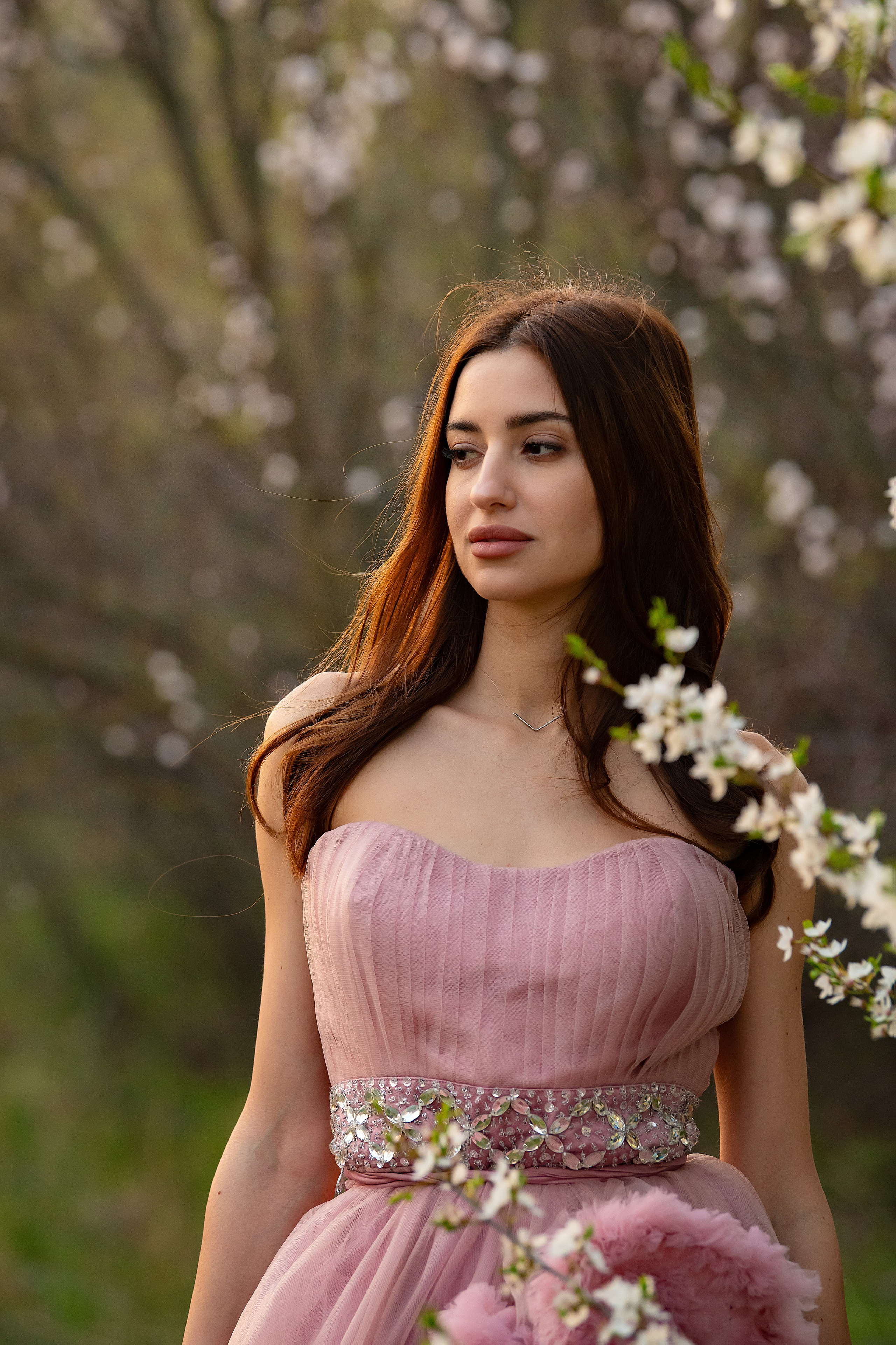 Смешанное цветение и зелень. Главная