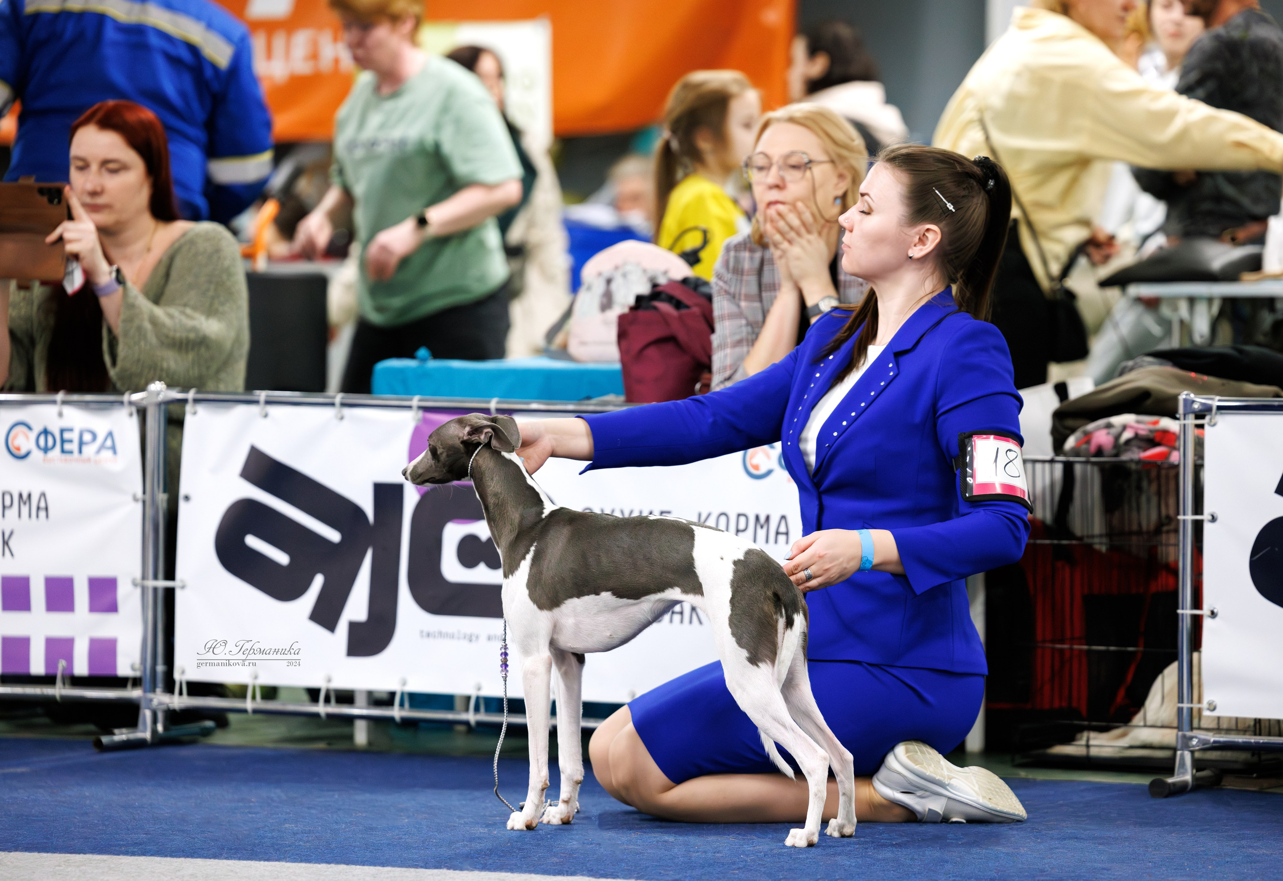 Сфера и Крокус 8,9,16 и 30.03.2025. Фотограф-анималист Юлия Германика