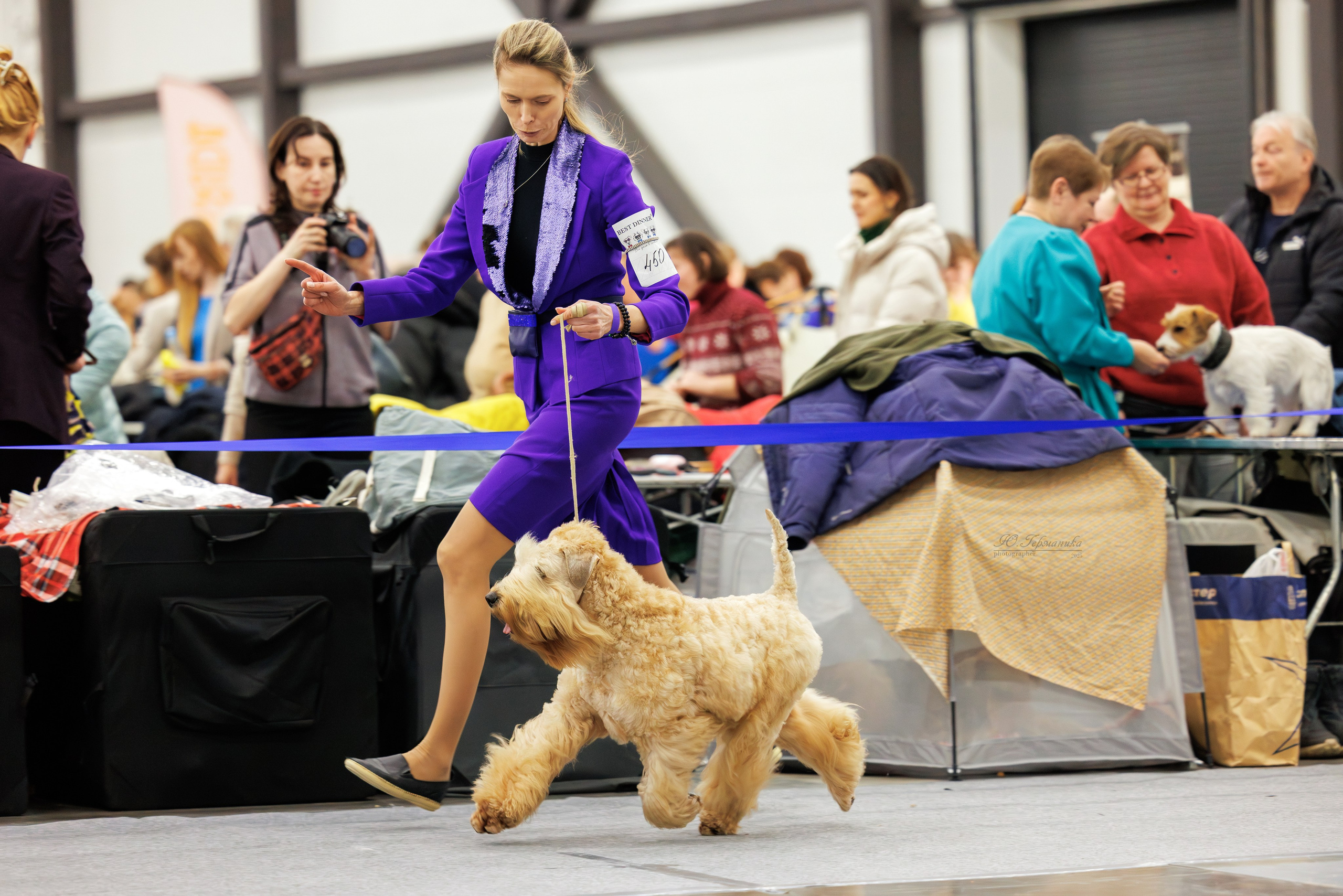 Питер 12-13.12.2025. Фотограф-анималист Юлия Германика