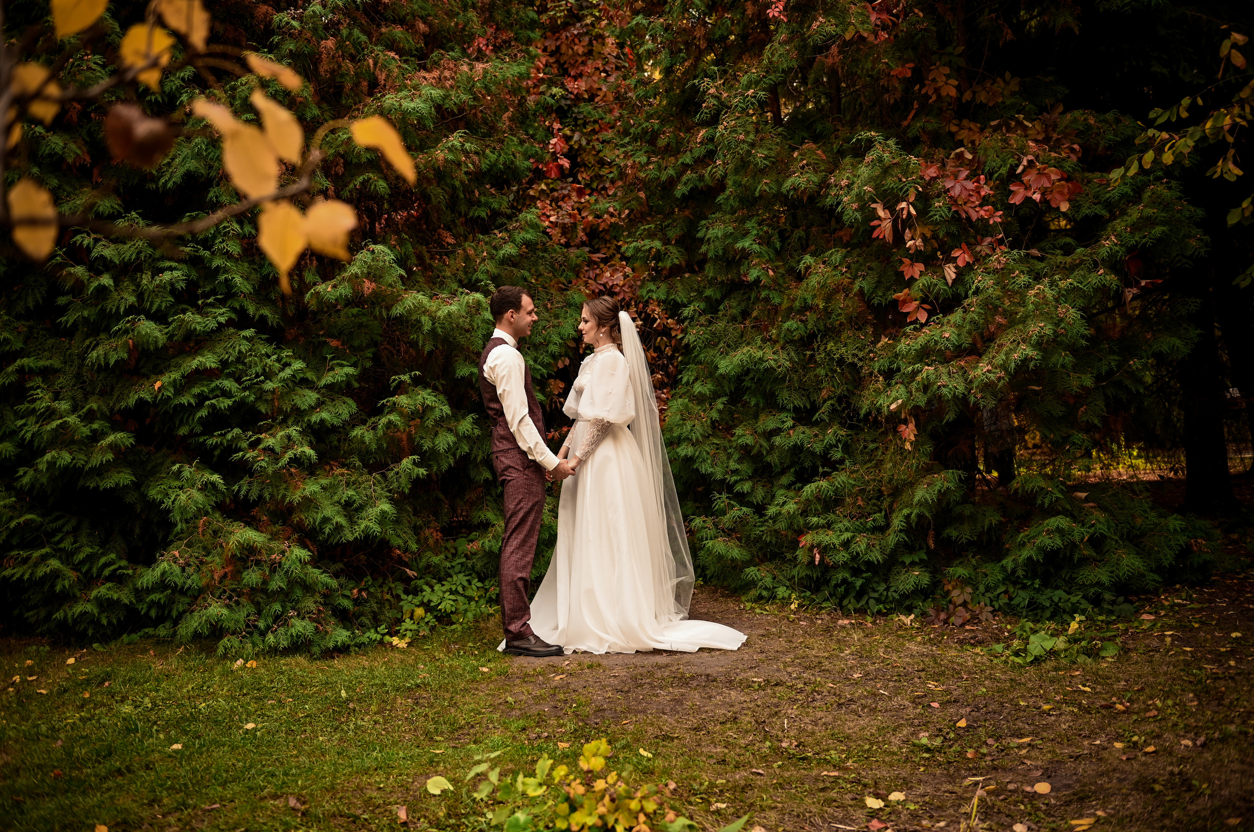Евгений и Яна. Свадебный, семейный, детский, контент фотограф в Омске Максим Ильин