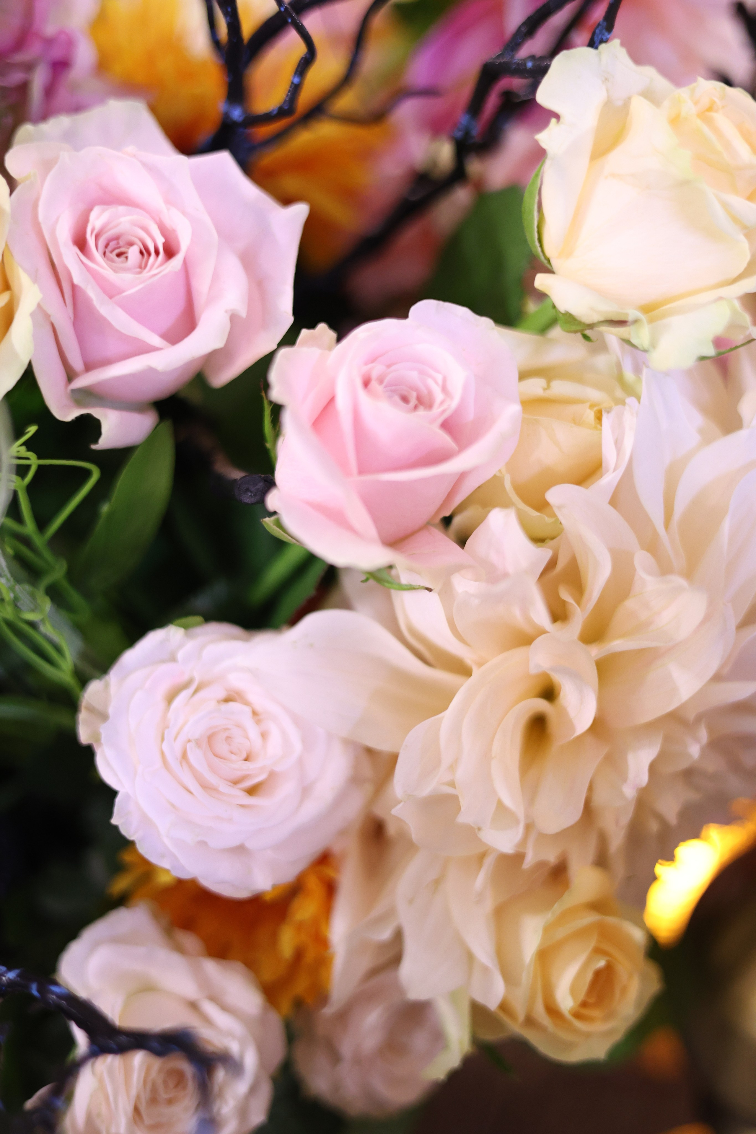 Евгения. Фотограф Москва