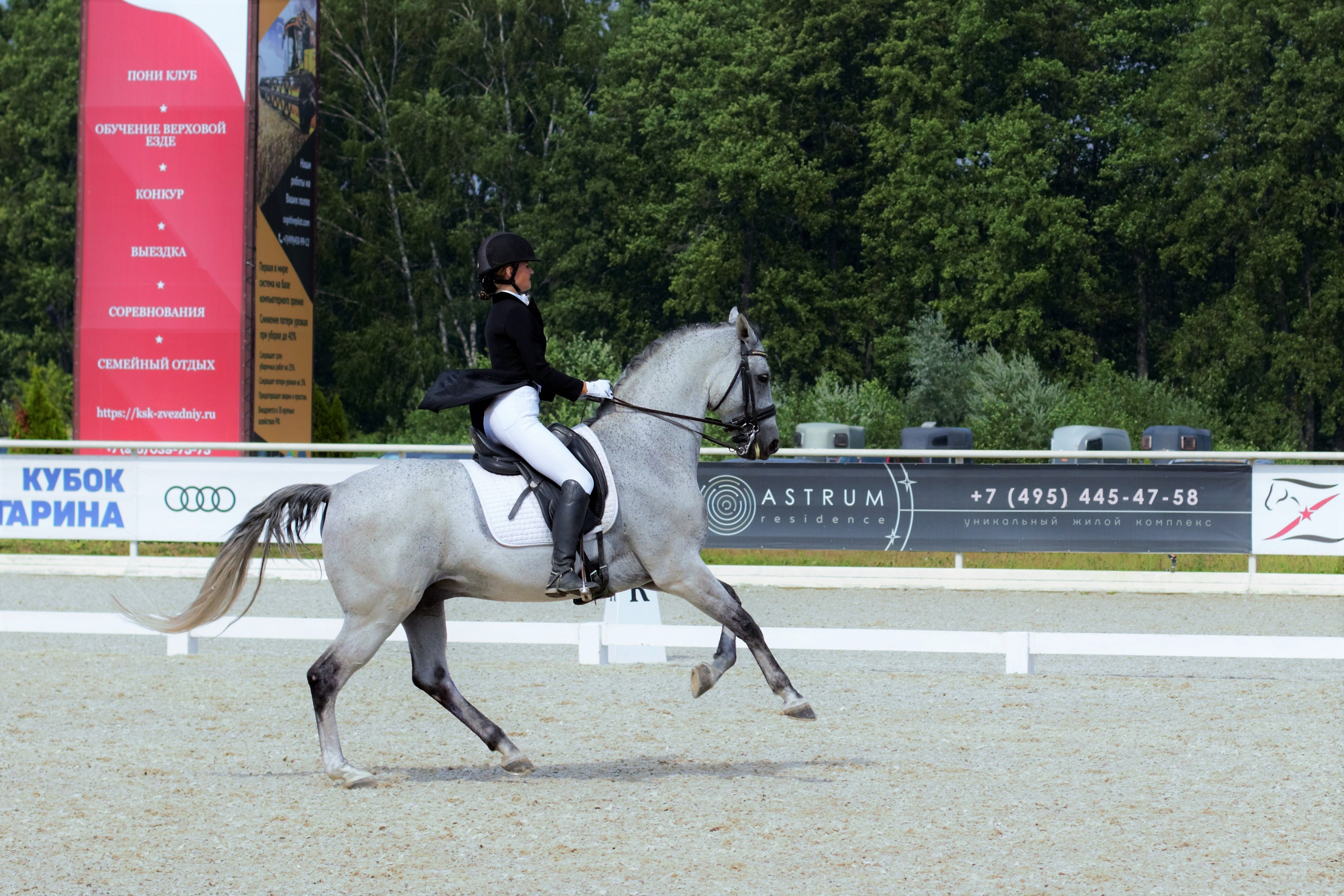 Соревнования по верховой езде. Фотограф в Москве Светлана Богначева