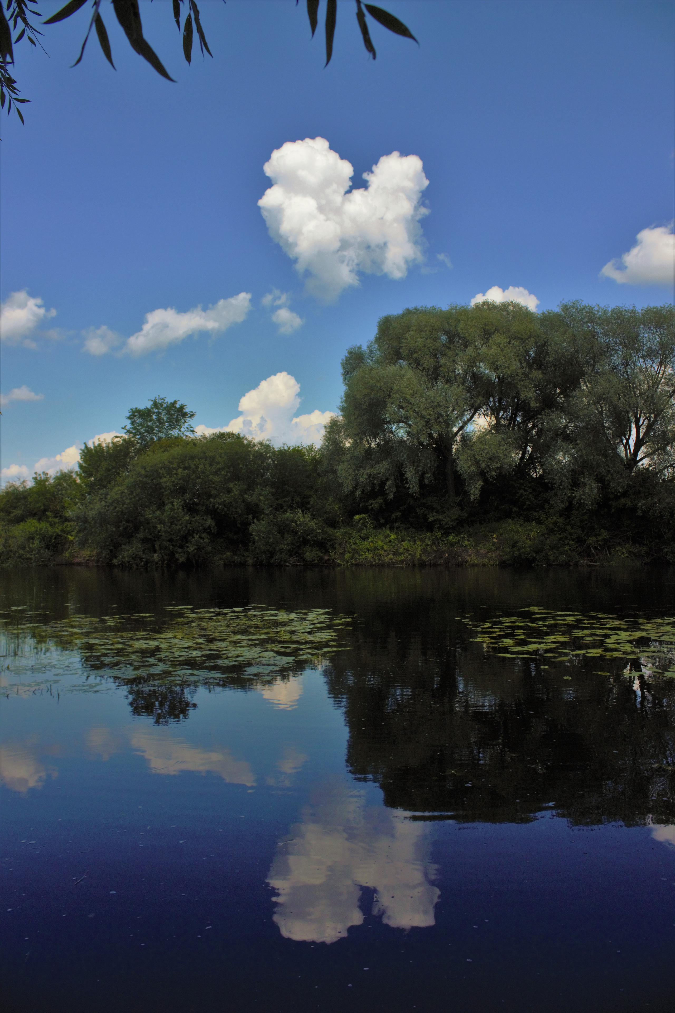 Природа. Фотограф в Москве Светлана Богначева