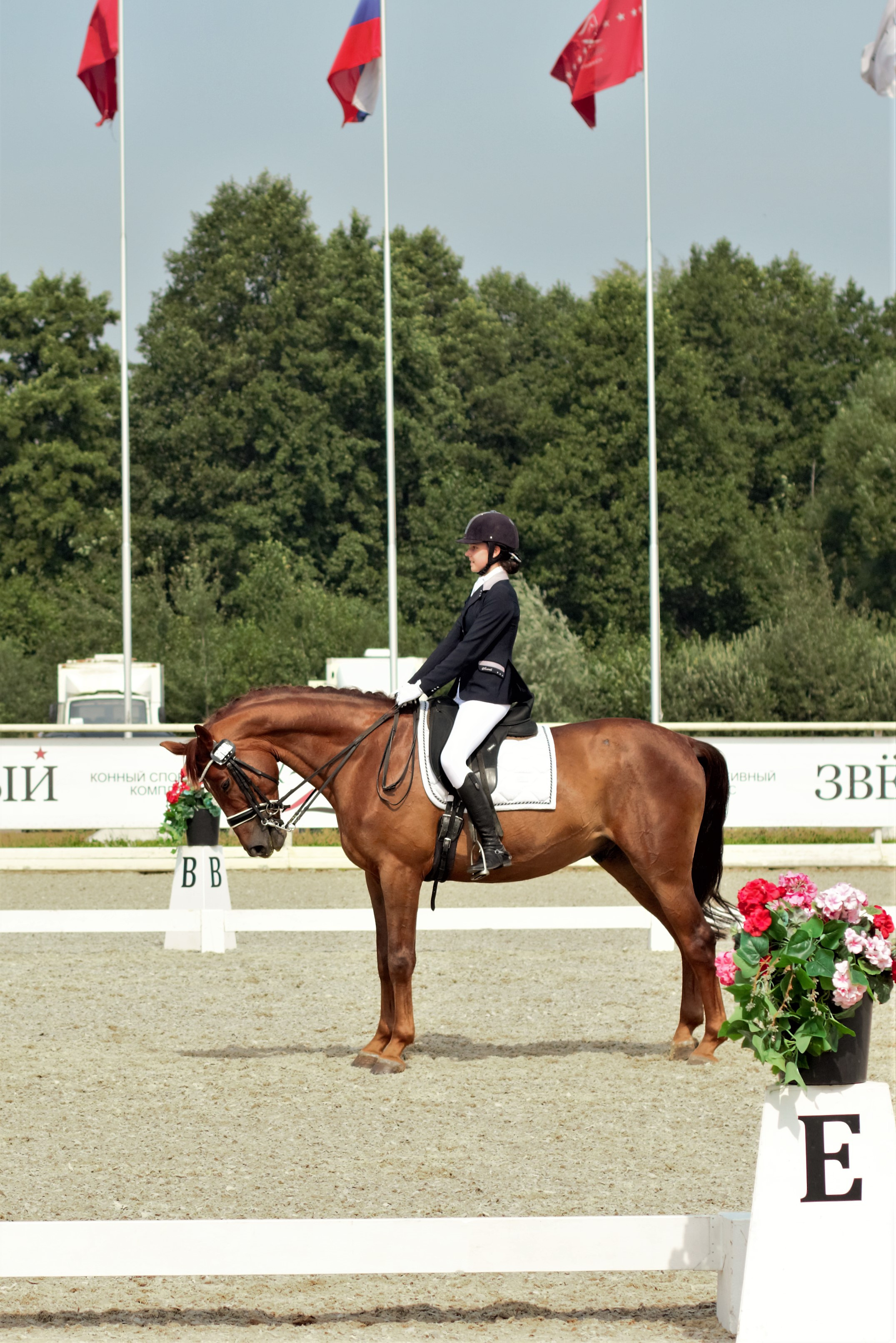 Соревнования по верховой езде. Фотограф в Москве Светлана Богначева