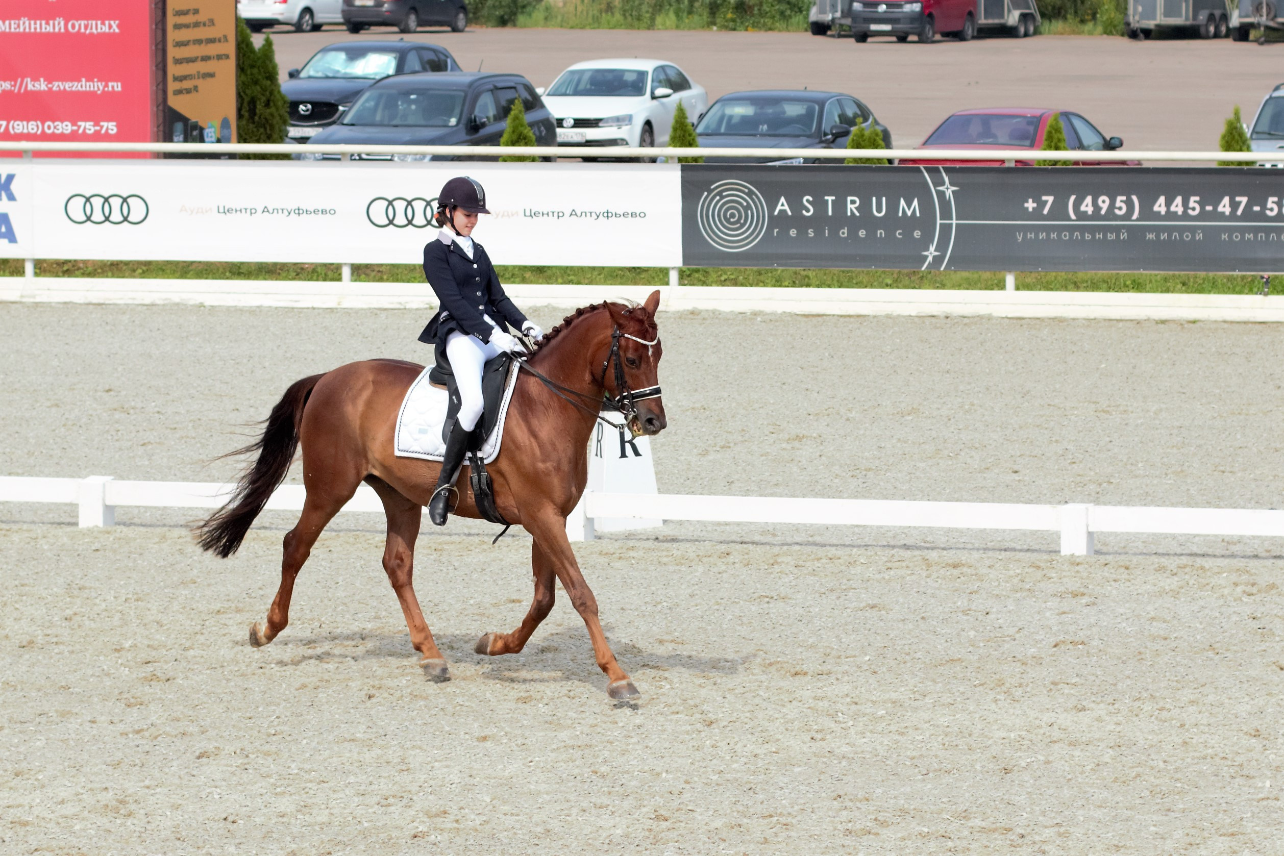Соревнования по верховой езде. Фотограф в Москве Светлана Богначева