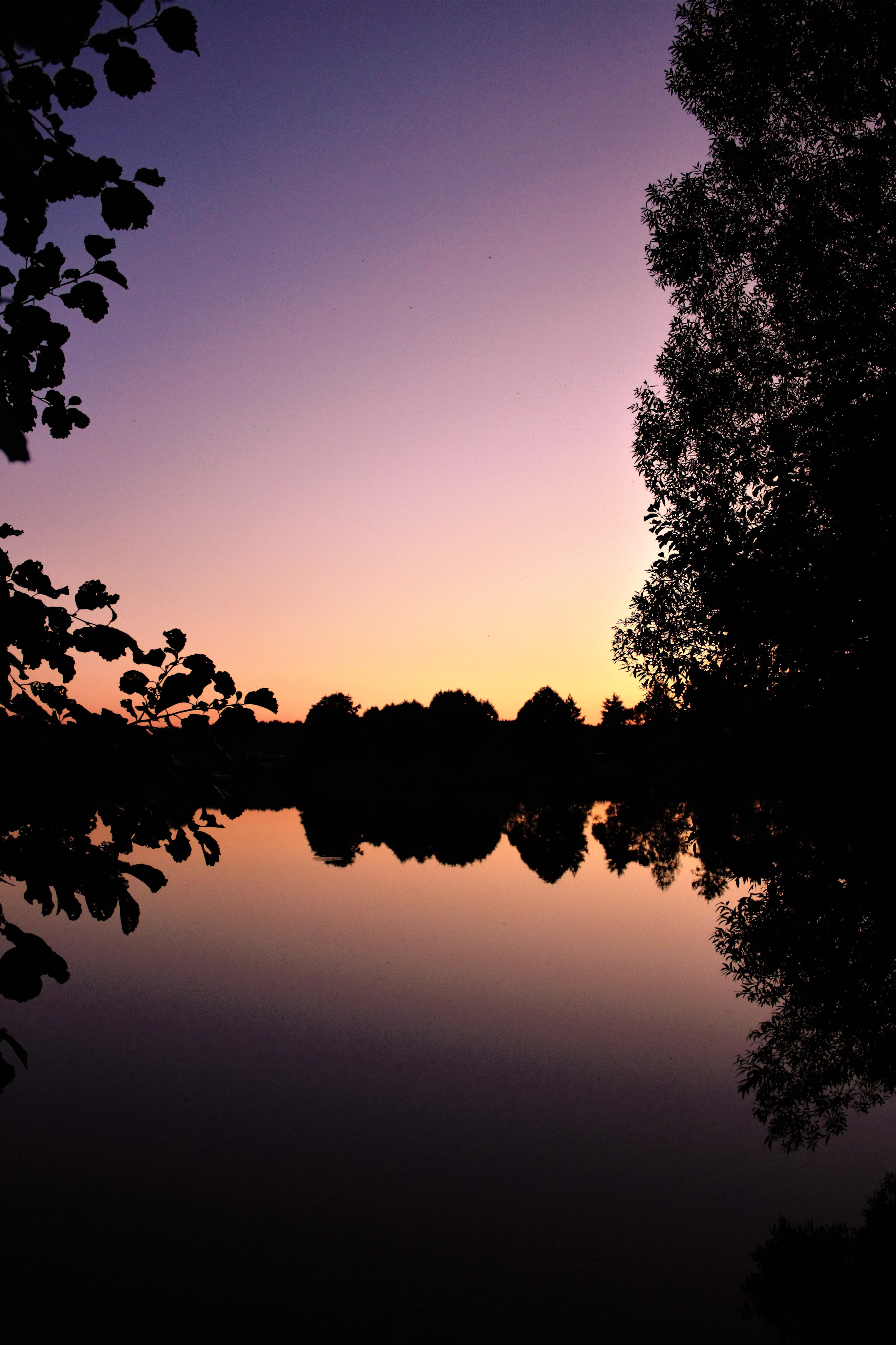 Природа. Фотограф в Москве Светлана Богначева