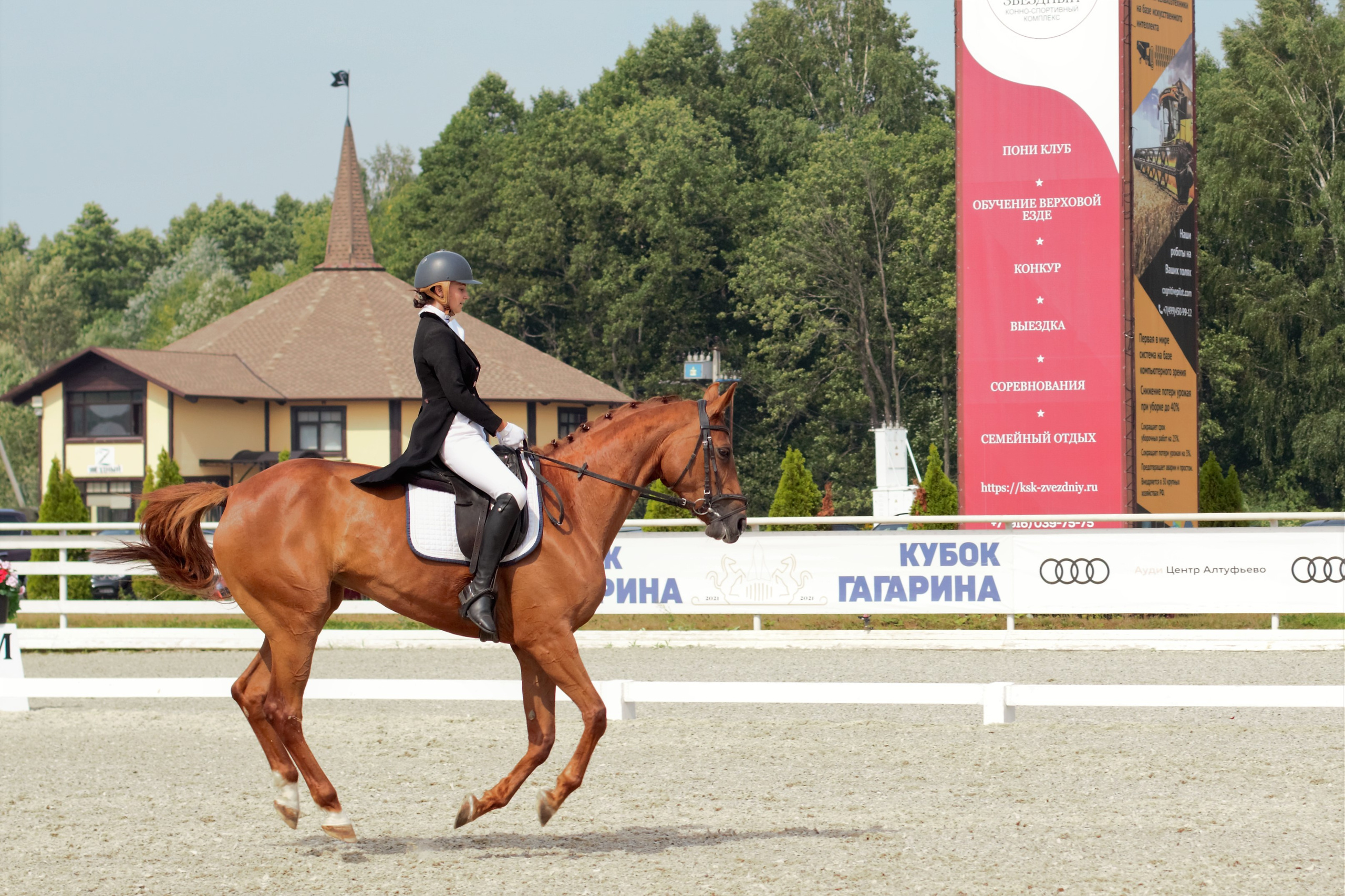 Соревнования по верховой езде. Фотограф в Москве Светлана Богначева