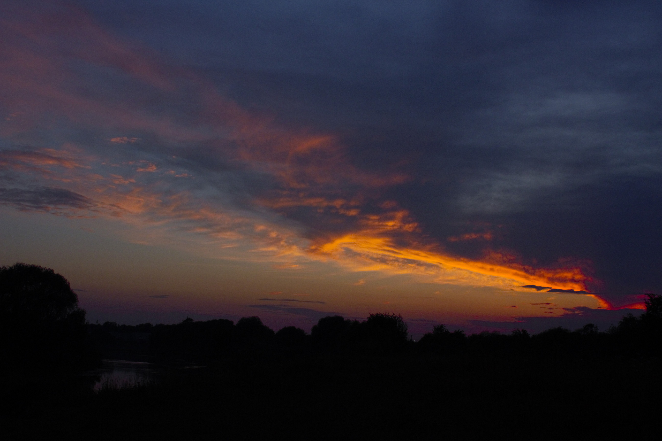 Природа. Фотограф в Москве Светлана Богначева