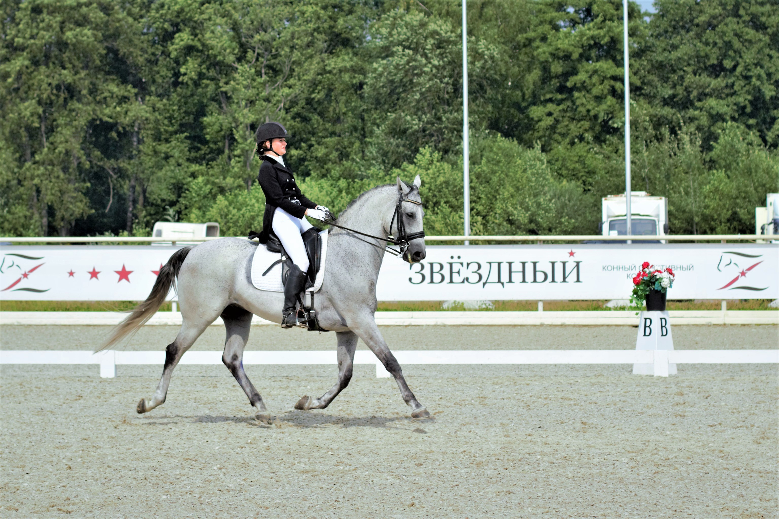 Соревнования по верховой езде. Фотограф в Москве Светлана Богначева