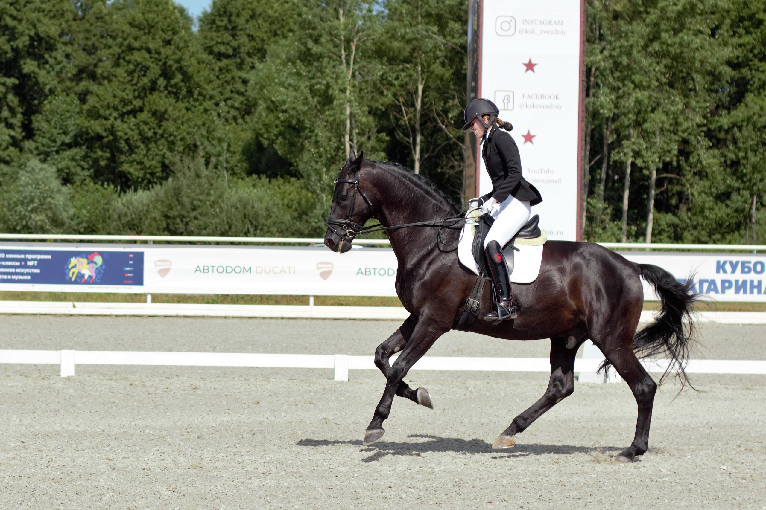 Соревнования по верховой езде. Фотограф в Москве Светлана Богначева