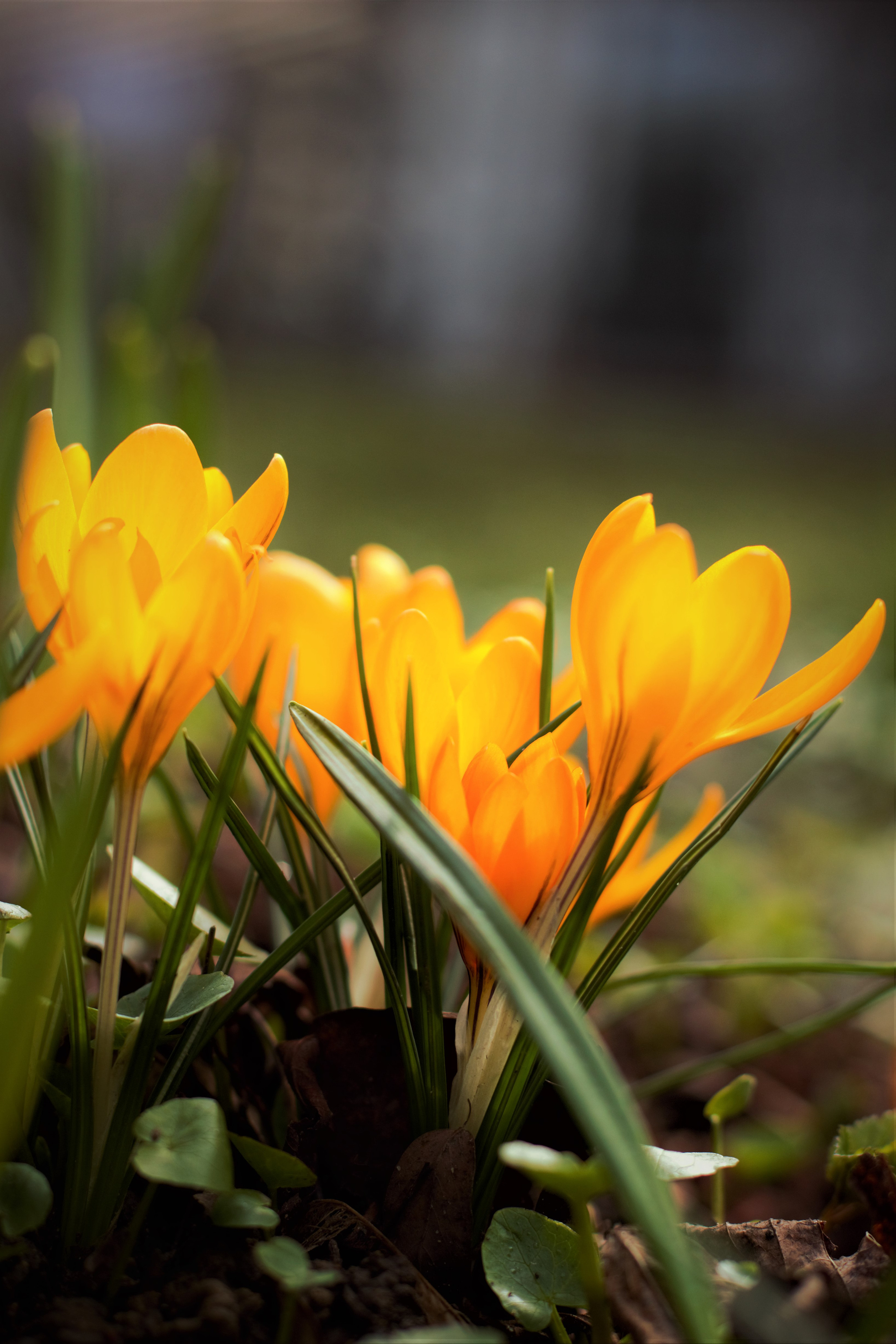 Природа. Фотограф в Москве Светлана Богначева