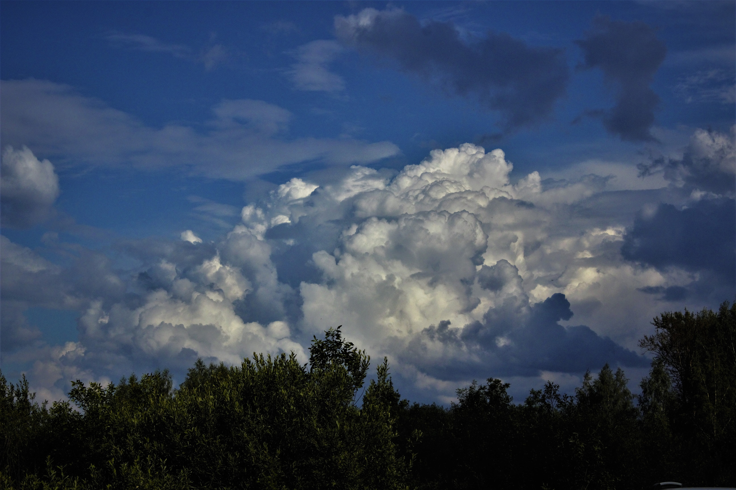 Природа. Фотограф в Москве Светлана Богначева